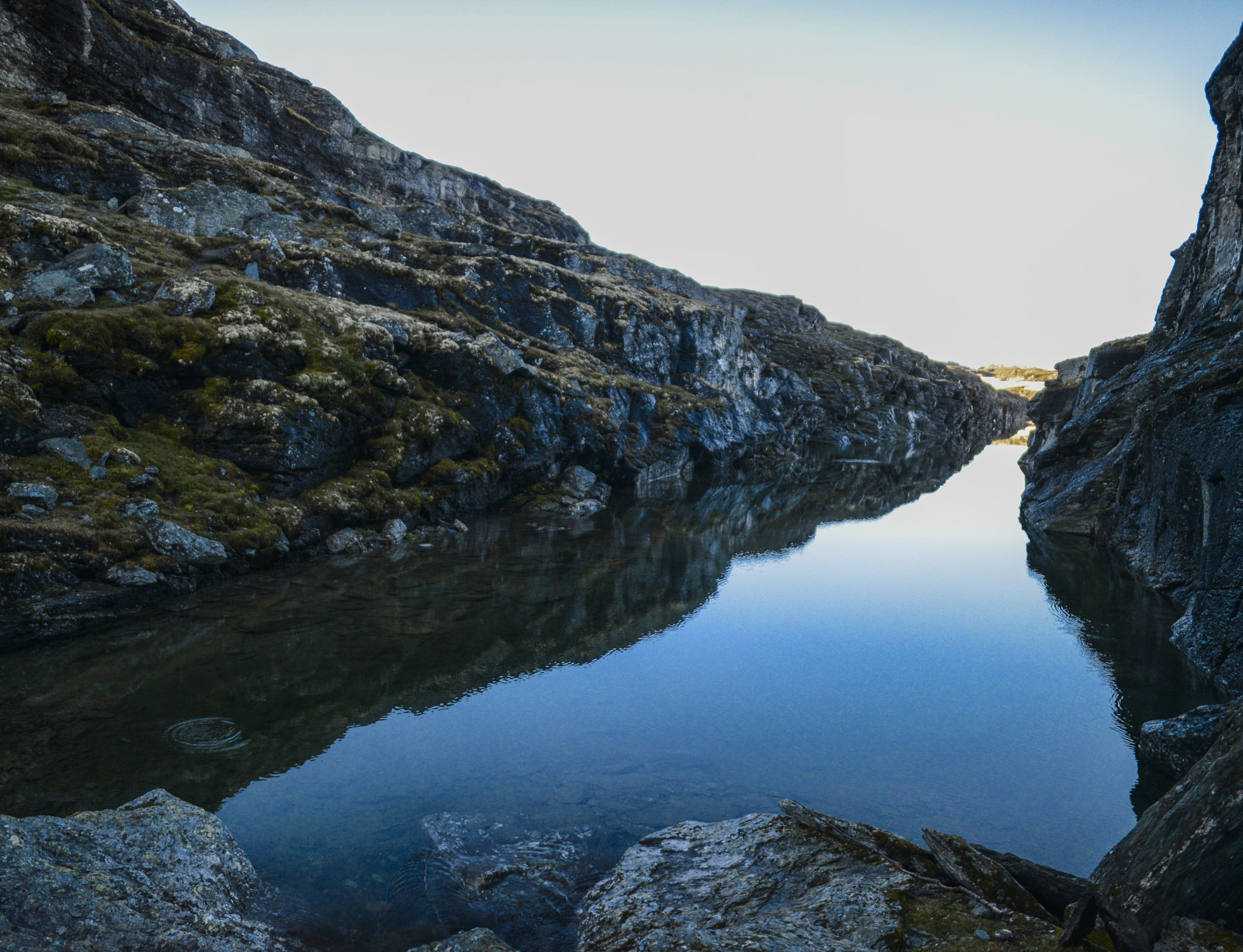 Nikon D800 + Samyang 12mm F2.8 ED AS NCS Fisheye sample photo. Fishorphotographer photography