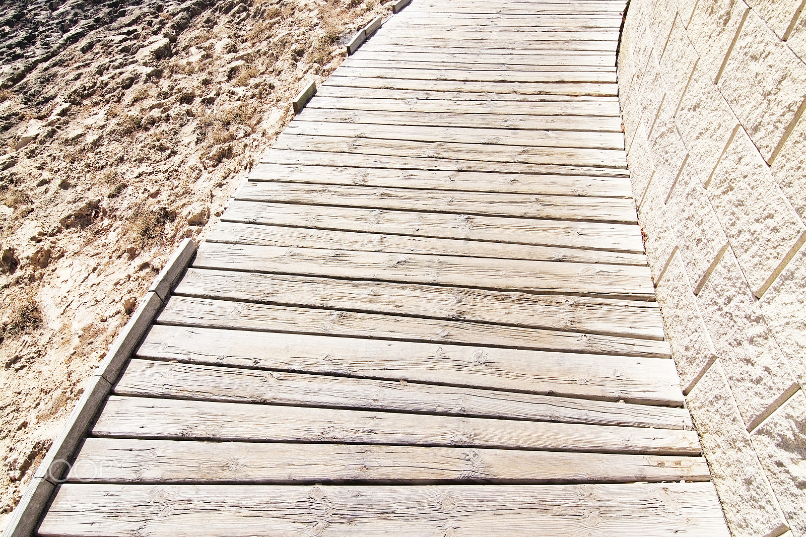 Nikon D7100 sample photo. Curved wood planks boardwalk photography