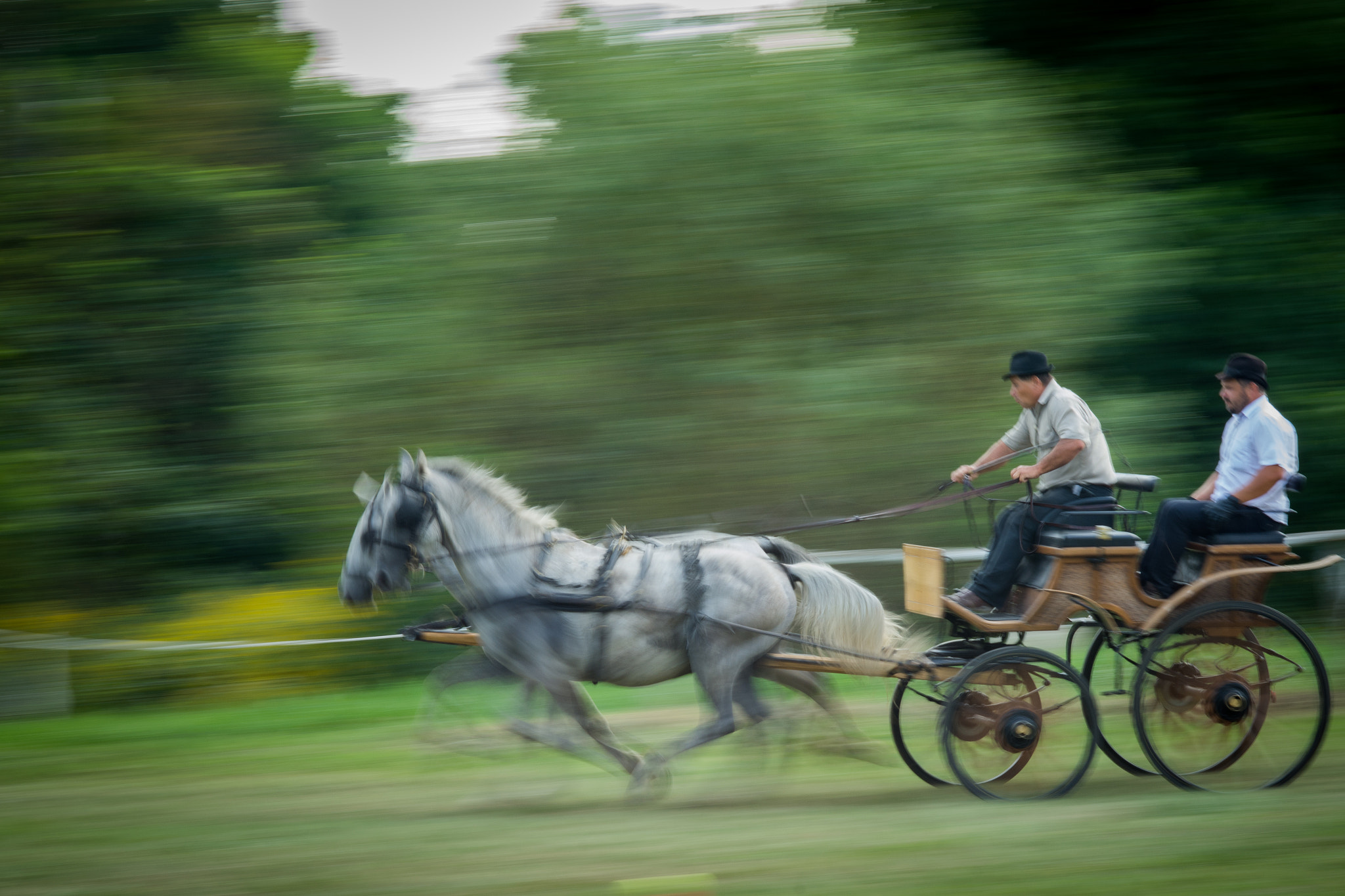 Nikon AF Nikkor 85mm F1.8D sample photo. Carriage driving photography