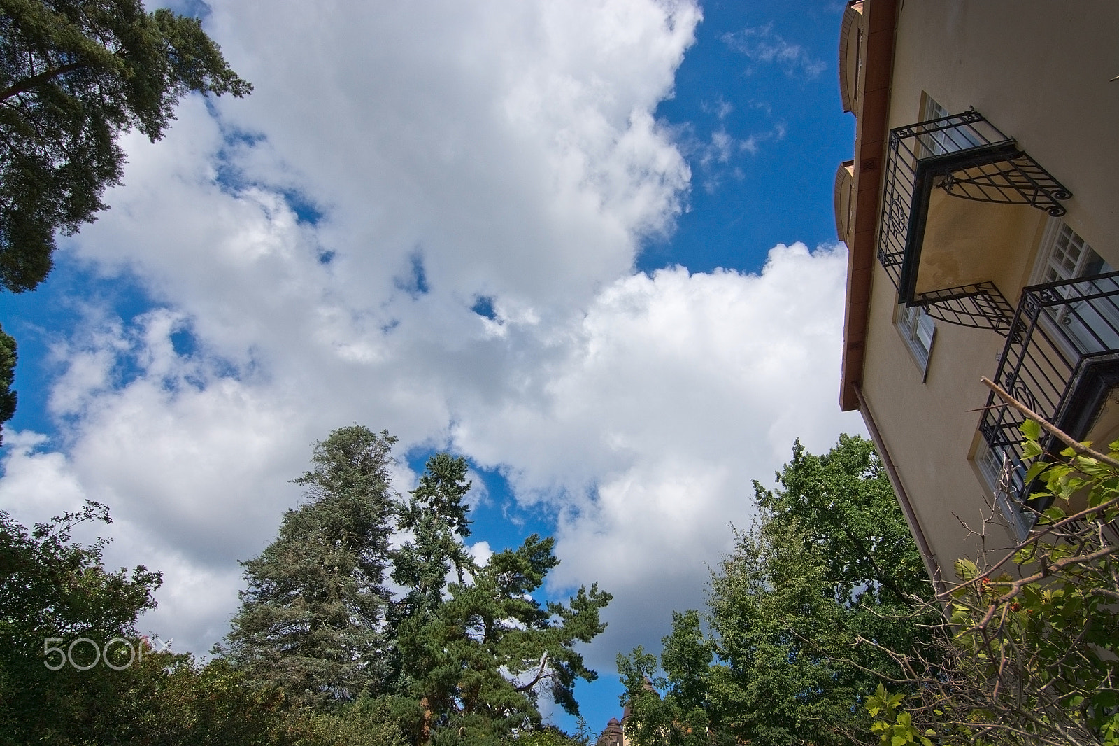 Nikon D7100 sample photo. Green vegetation and summer clouds photography