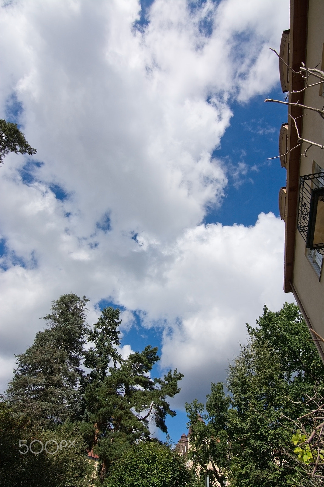 Nikon D7100 sample photo. Green vegetation and summer clouds photography