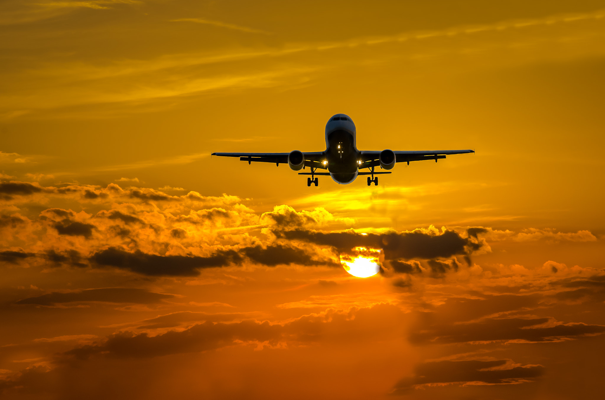 Sigma 70-200mm F2.8 EX DG OS HSM sample photo. Landing in the sunset photography