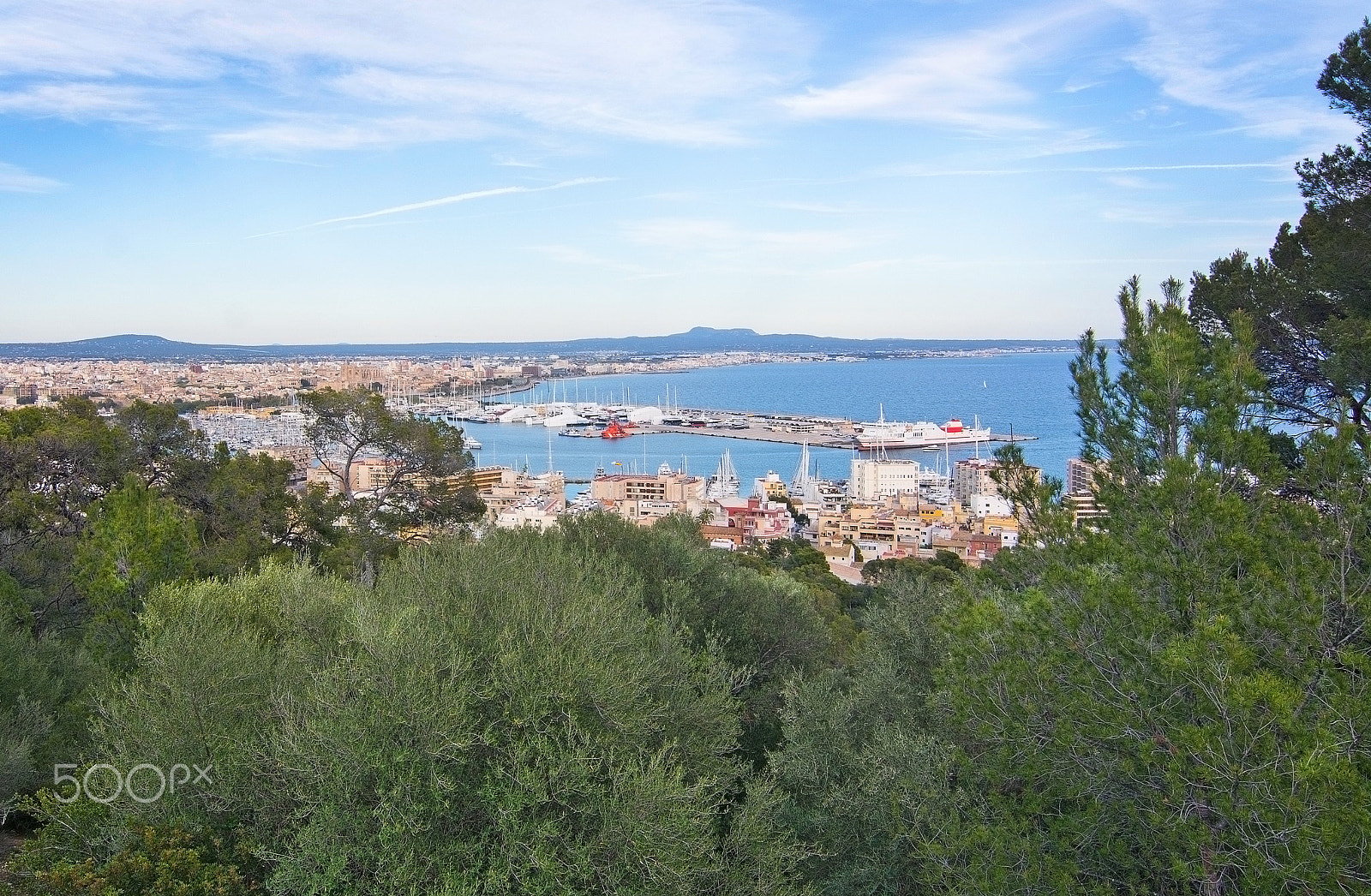 Nikon AF-S Nikkor 500mm F4E FL ED VR sample photo. View over palma bay photography