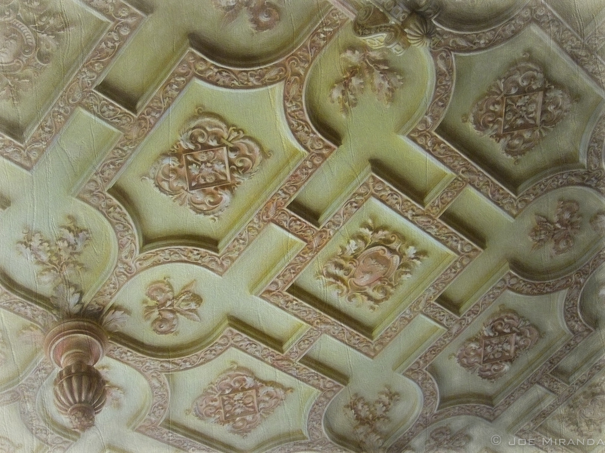 Canon PowerShot SD890 IS (Digital IXUS 970 IS / IXY Digital 820 IS) sample photo. Ceiling of opulence photography
