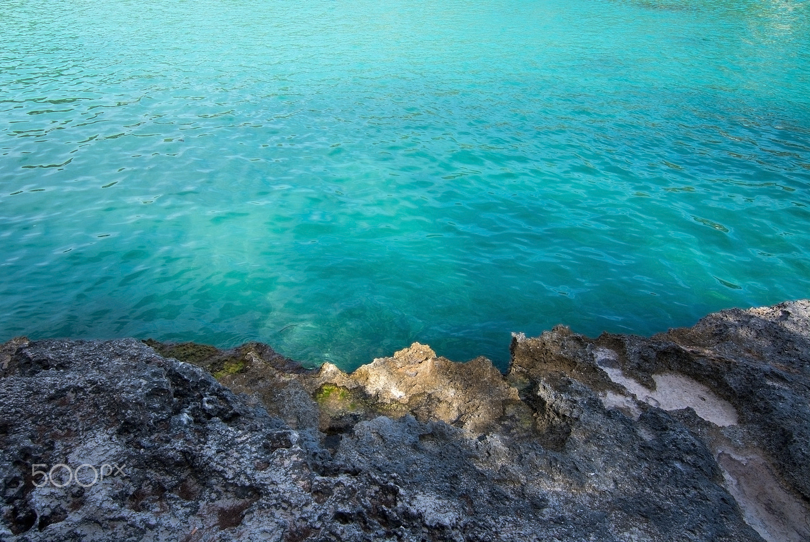 Nikon D7100 + Nikon AF Micro-Nikkor 200mm F4D ED-IF sample photo. Rock and clear turquoise water background photography