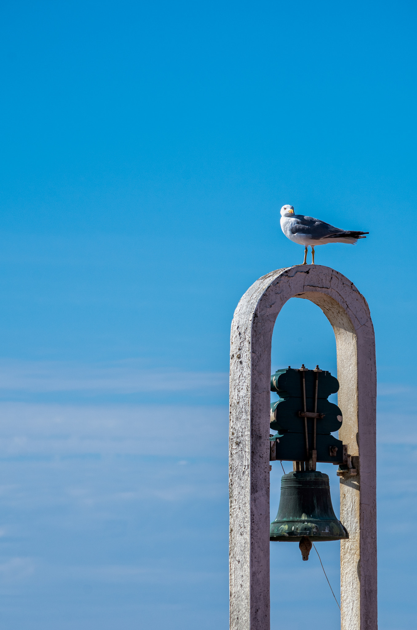 Pentax K-30 + HD Pentax DA 55-300mm F4.0-5.8 ED WR sample photo. Seagull and the bell photography