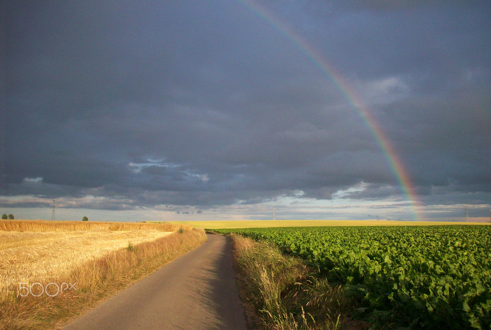 Kodak EASYSHARE M753 ZOOM DIGITAL CAMERA sample photo. Farmlands of belgium: quiet before the storm photography