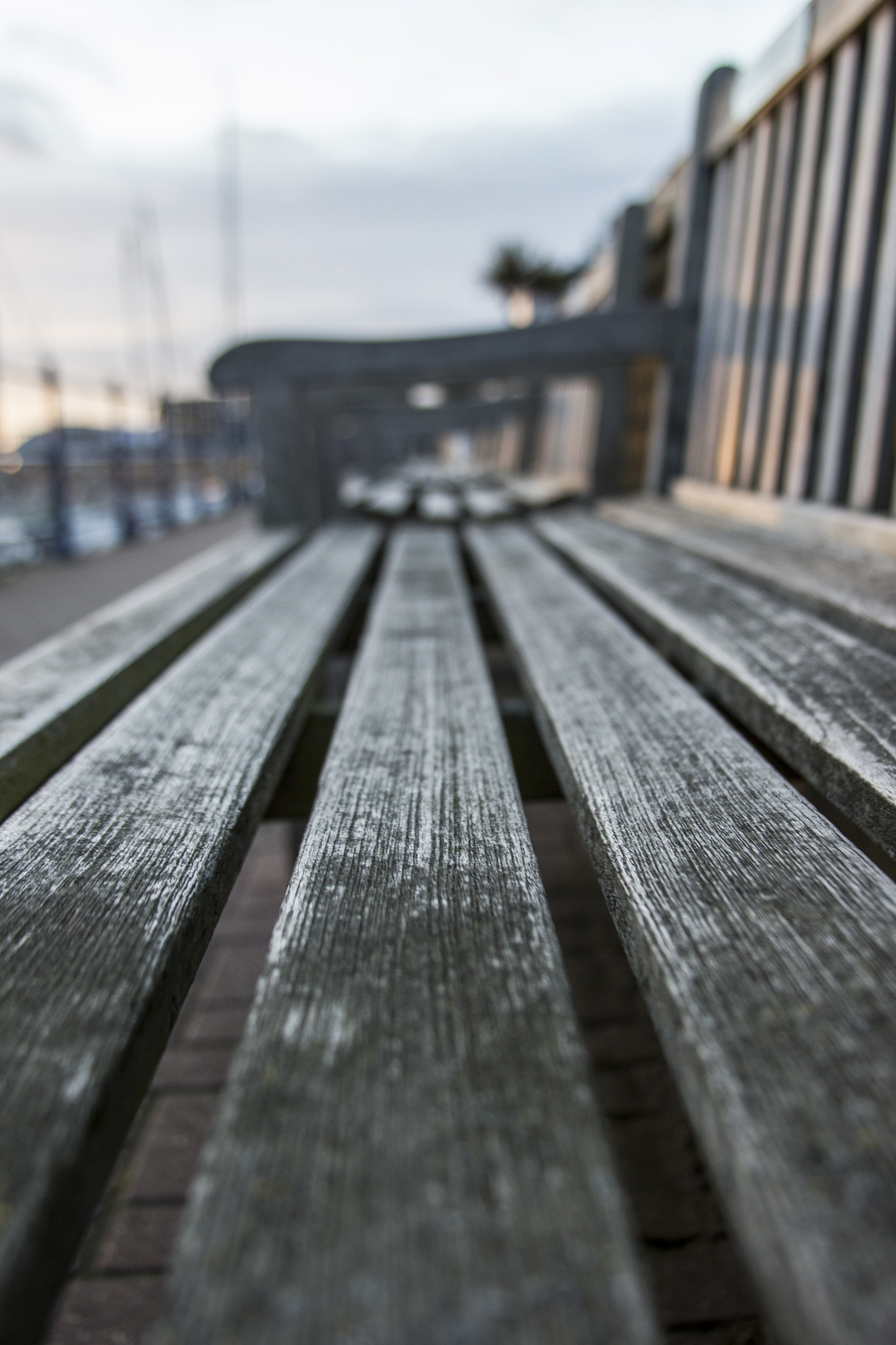 Canon EF 28-135mm F3.5-5.6 IS USM sample photo. Img photography