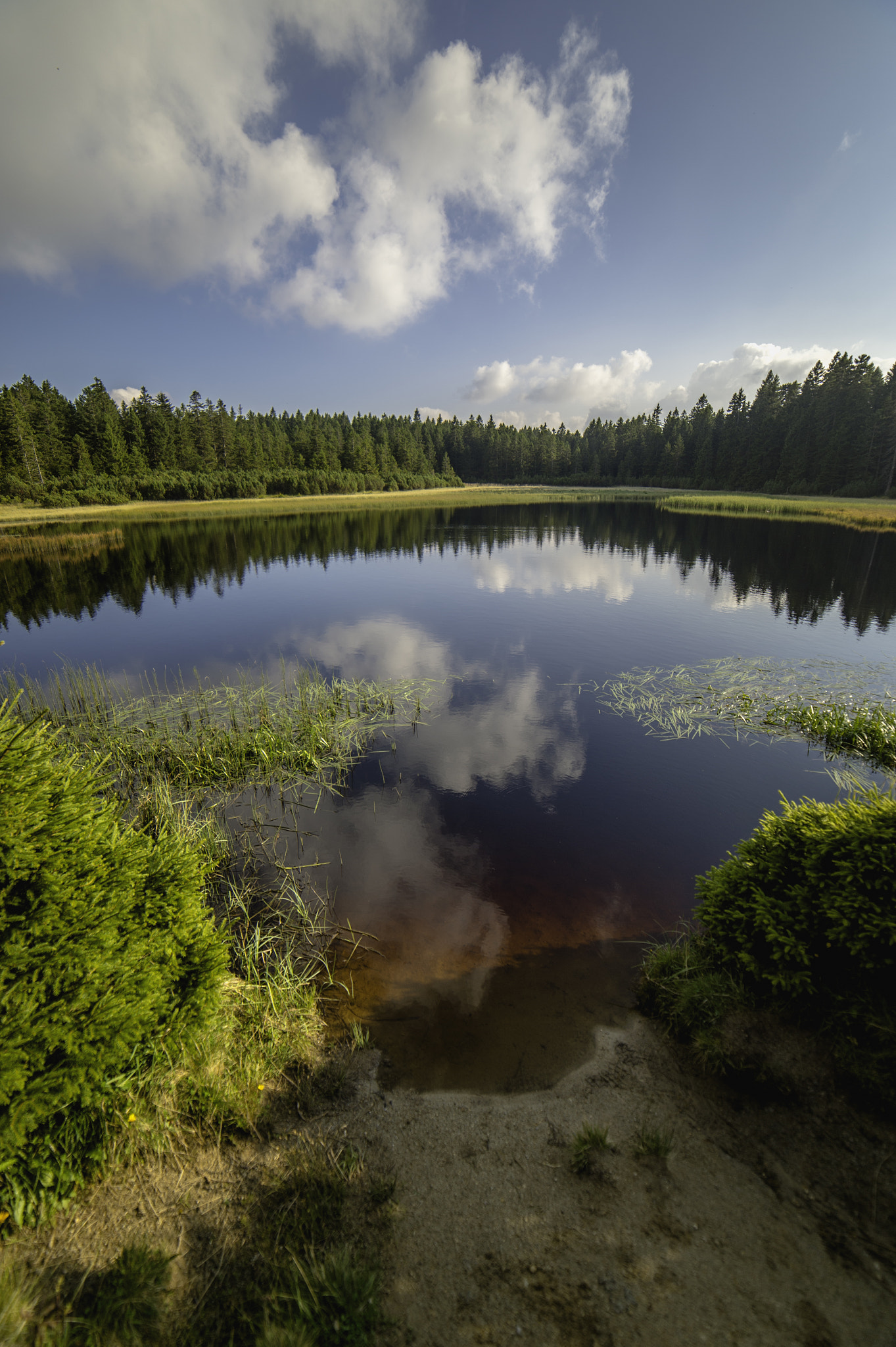Nikon Df sample photo. Black lake photography