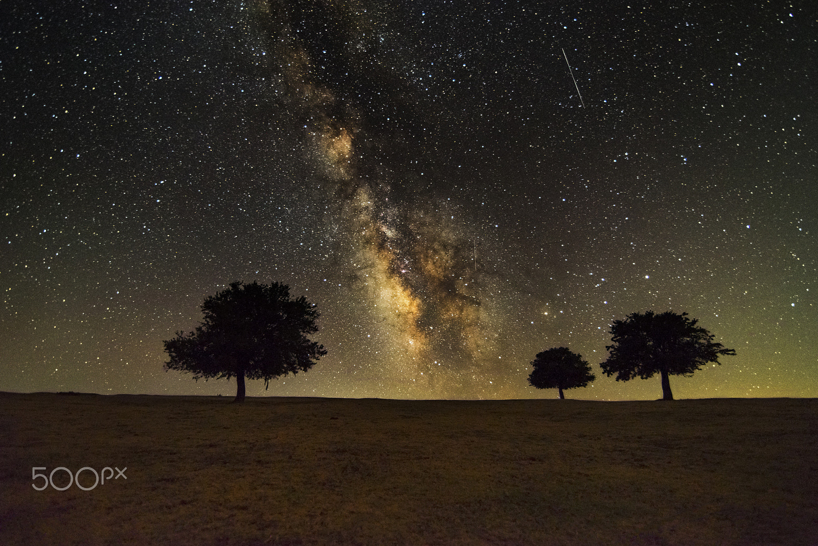 Tokina AT-X 16-28mm F2.8 Pro FX sample photo. Three trees photography