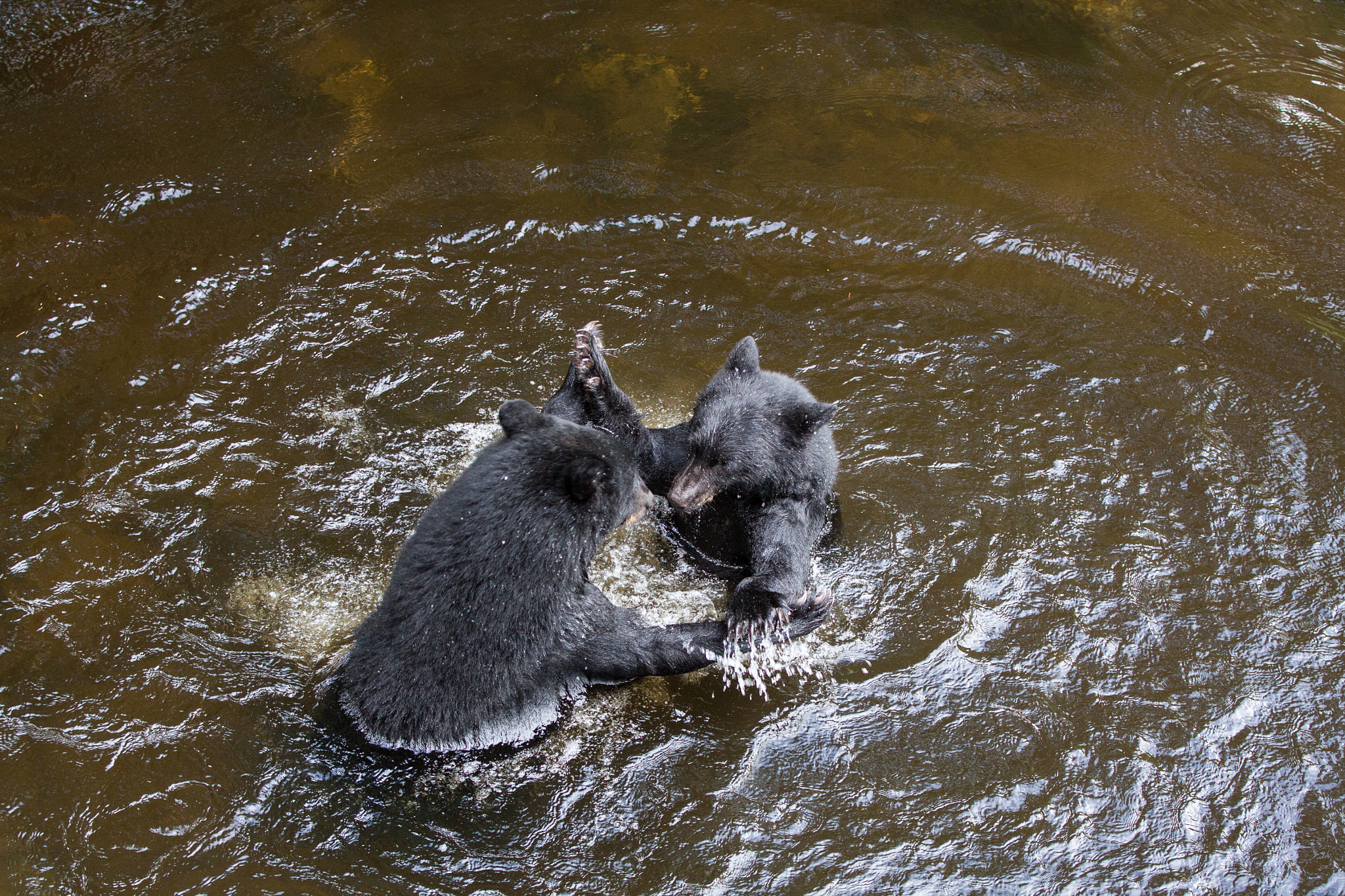Canon EOS 50D sample photo. Childs play photography