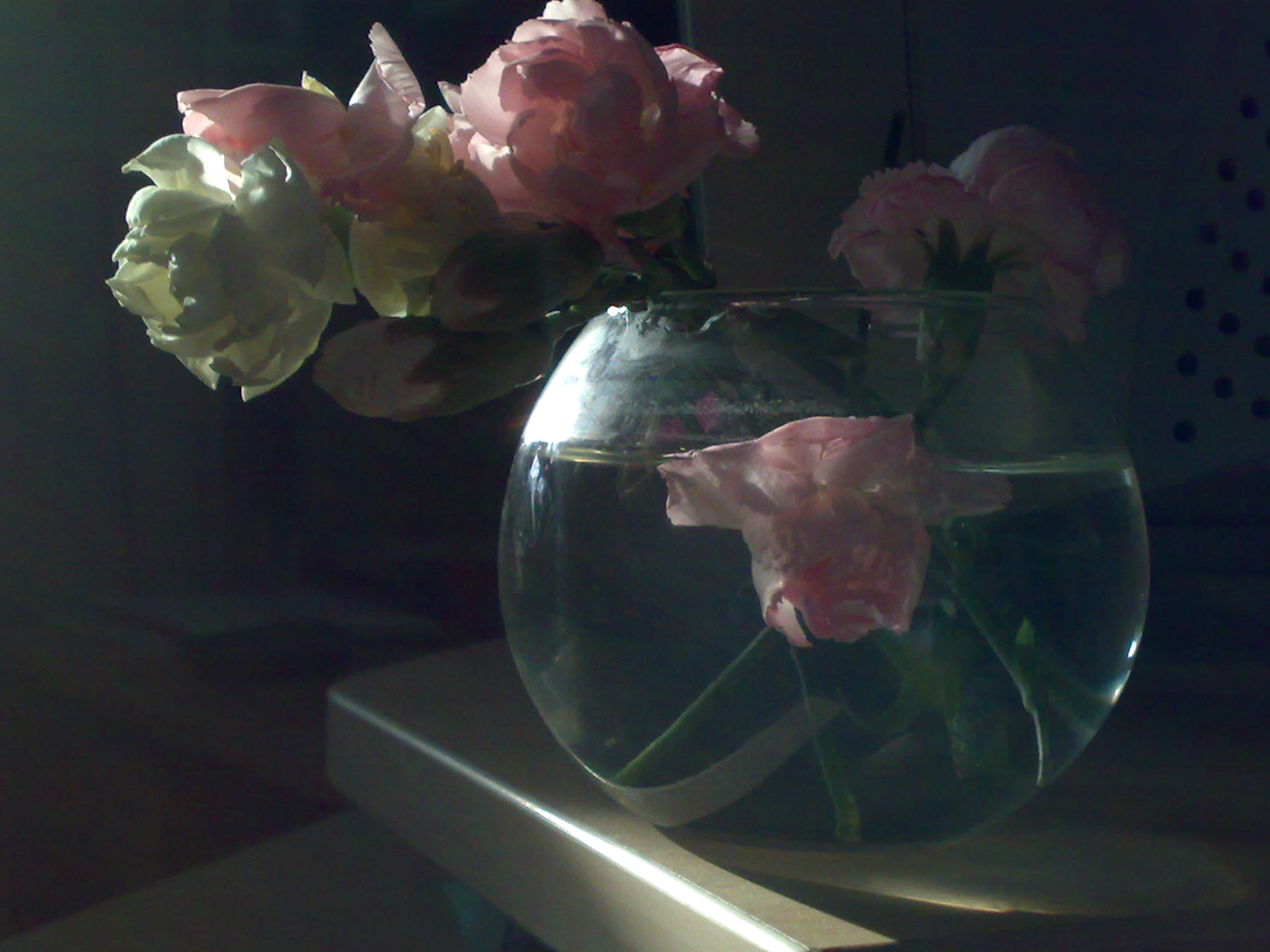 Nokia N73 sample photo. Flowers photography