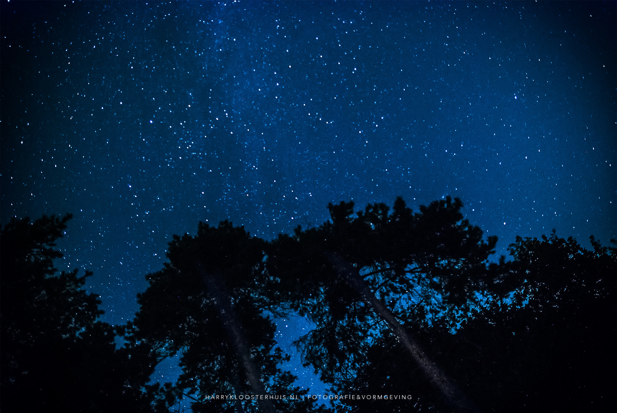 Nikon D80 sample photo. Stars at kootwijkerzand photography