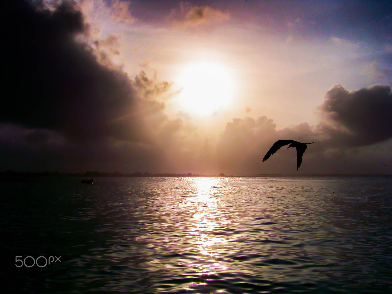 Kodak EASYSHARE Z8612 IS DIGITAL CAMERA sample photo. Sunset and seagull photography