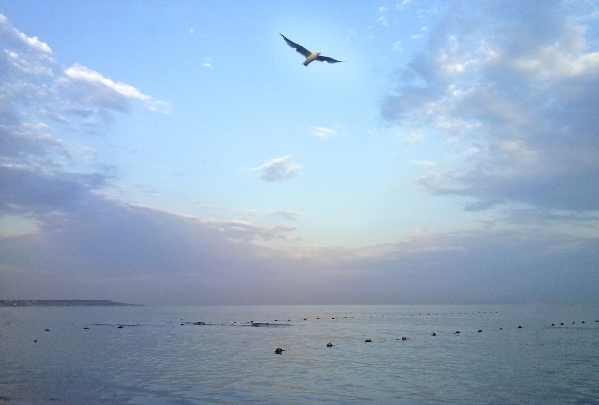 LG Optimus L5 sample photo. * photography