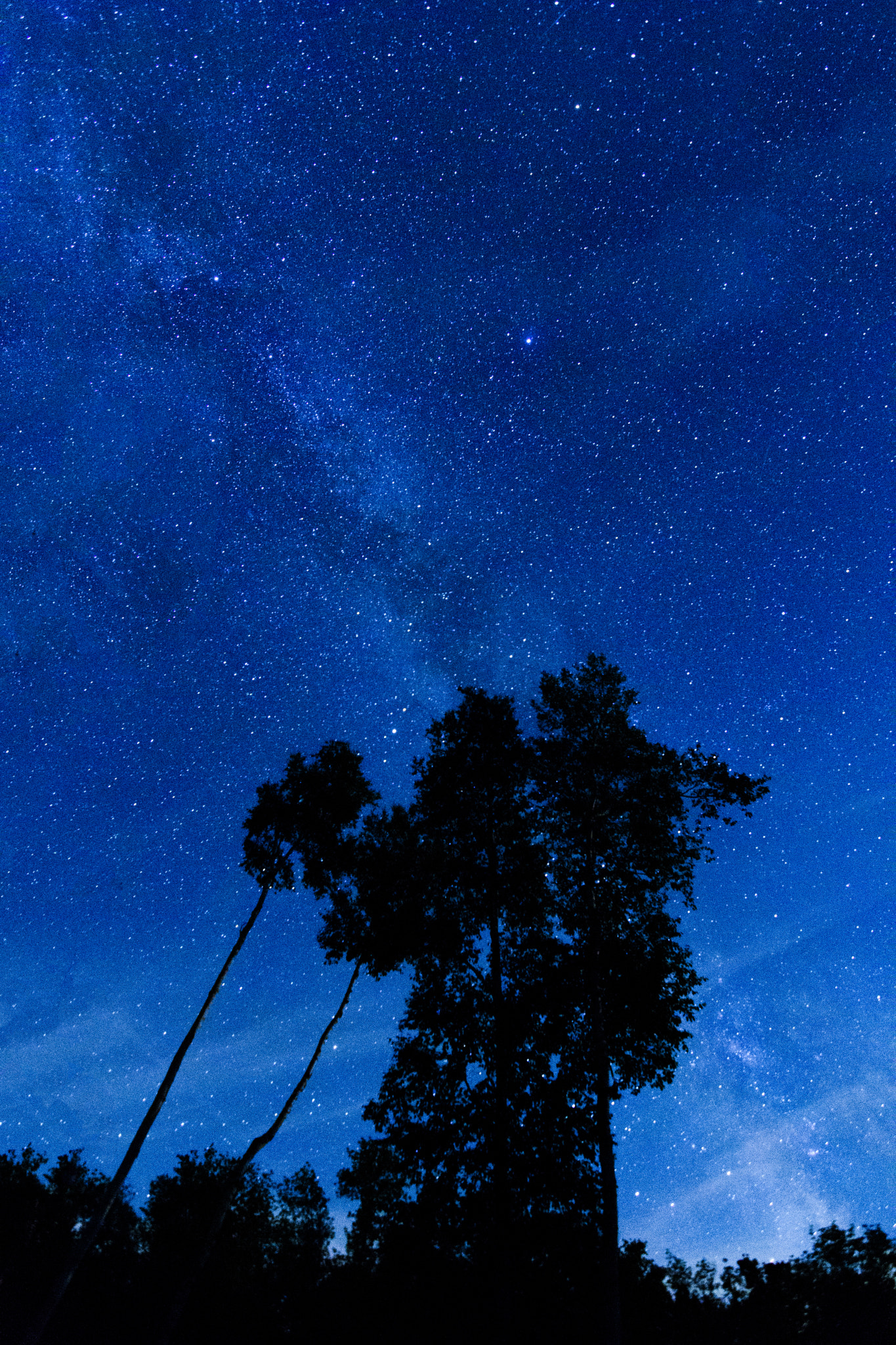 Nikon D500 sample photo. Vermont milky way night sky photography