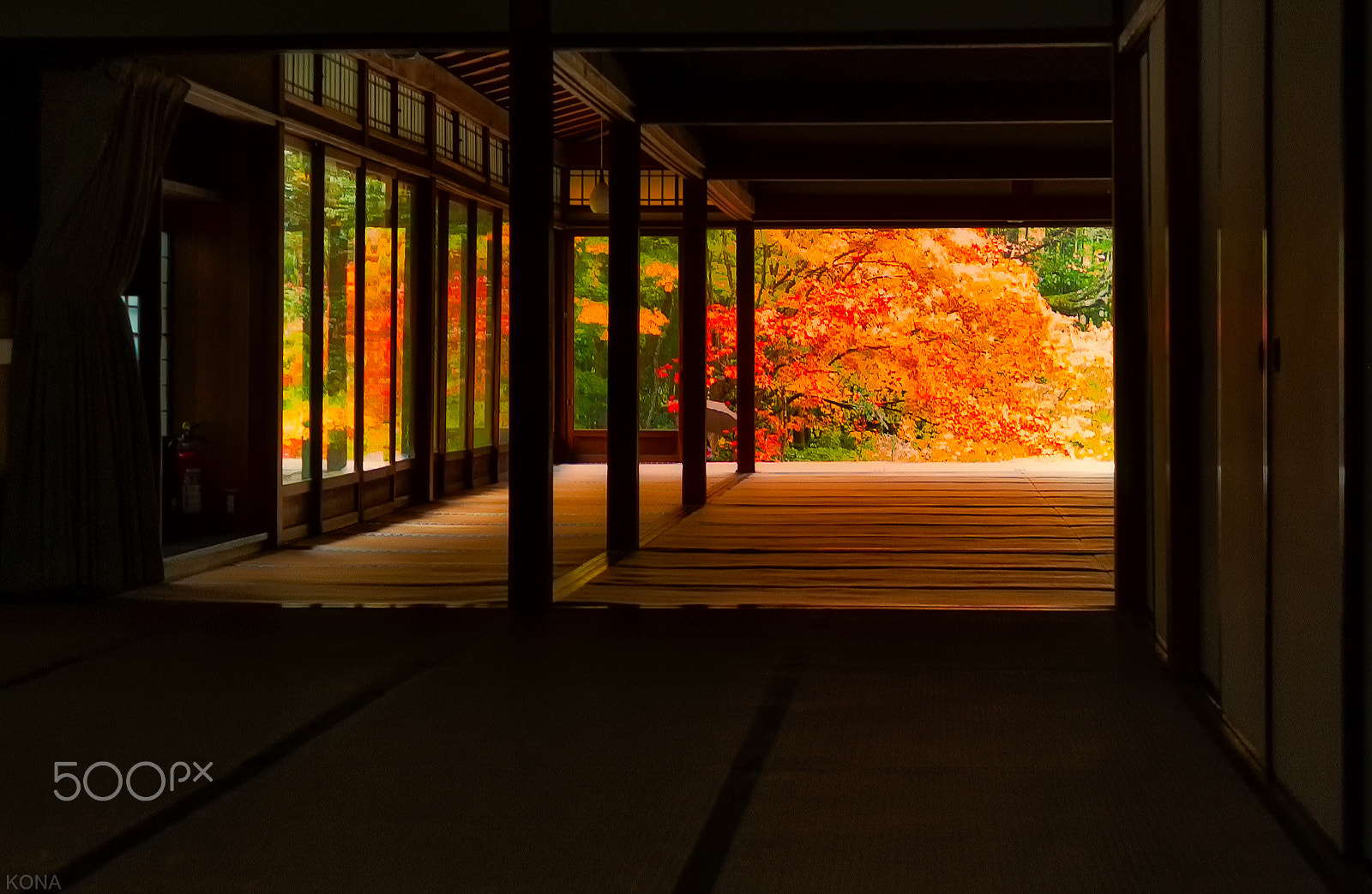Nikon D1X sample photo. 天授庵　kyoto photography