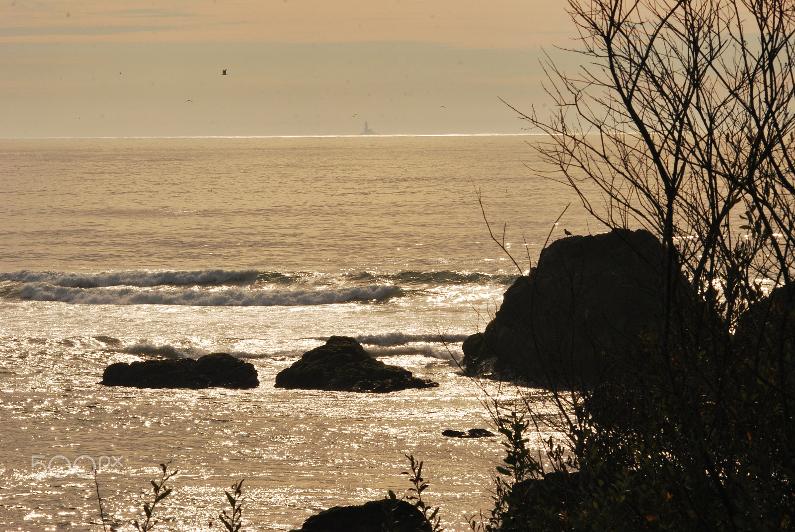 Sigma 150-500mm F5-6.3 DG OS HSM sample photo. Mouth of smith river to ocean (2) photography