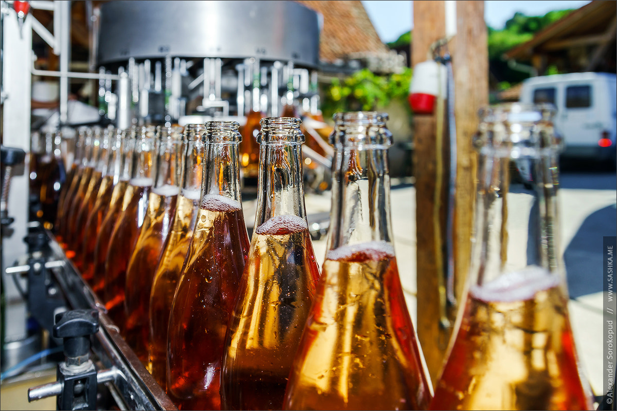 Sony a99 II + Tamron SP 24-70mm F2.8 Di VC USD sample photo. Automation bottling line for produce champagne in alsace photography