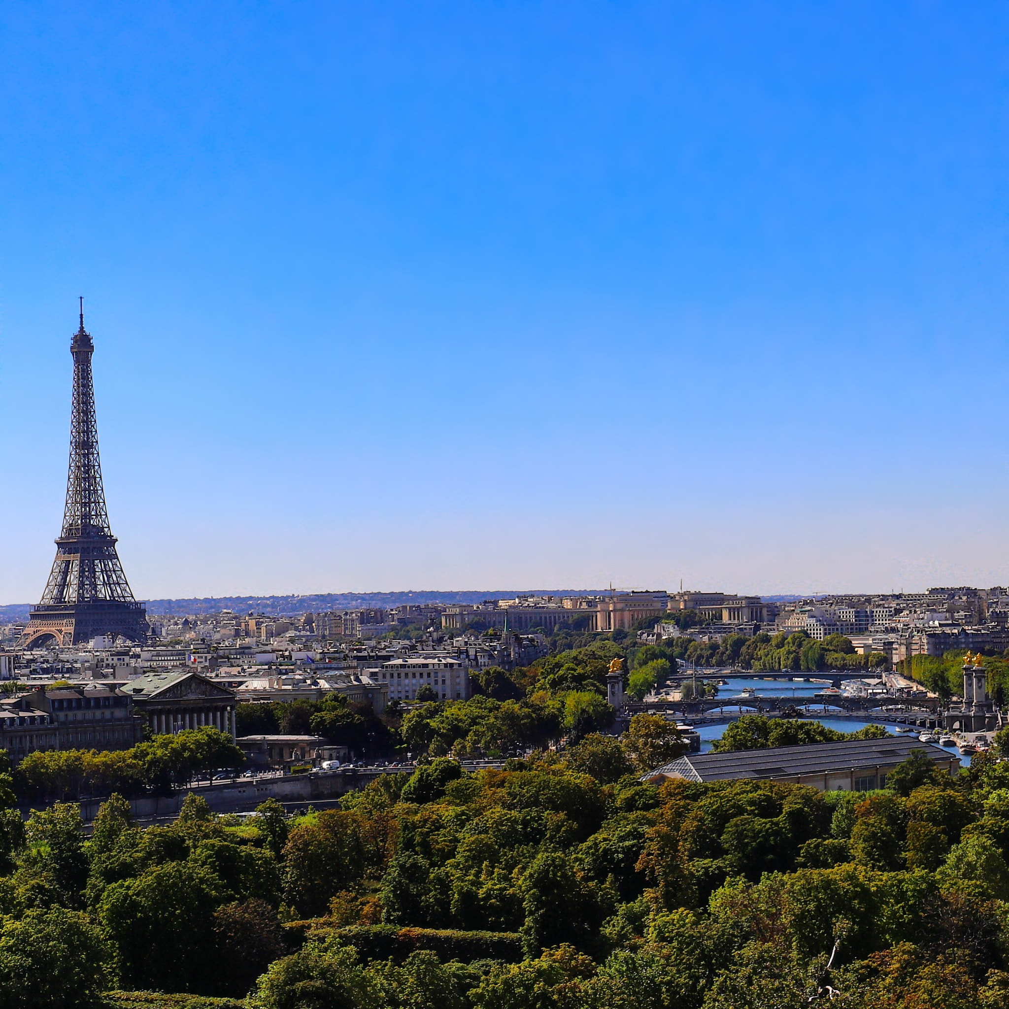 Canon EOS 80D + Canon EF 16-35mm F4L IS USM sample photo. The eiffel tower from tuileries garden photography