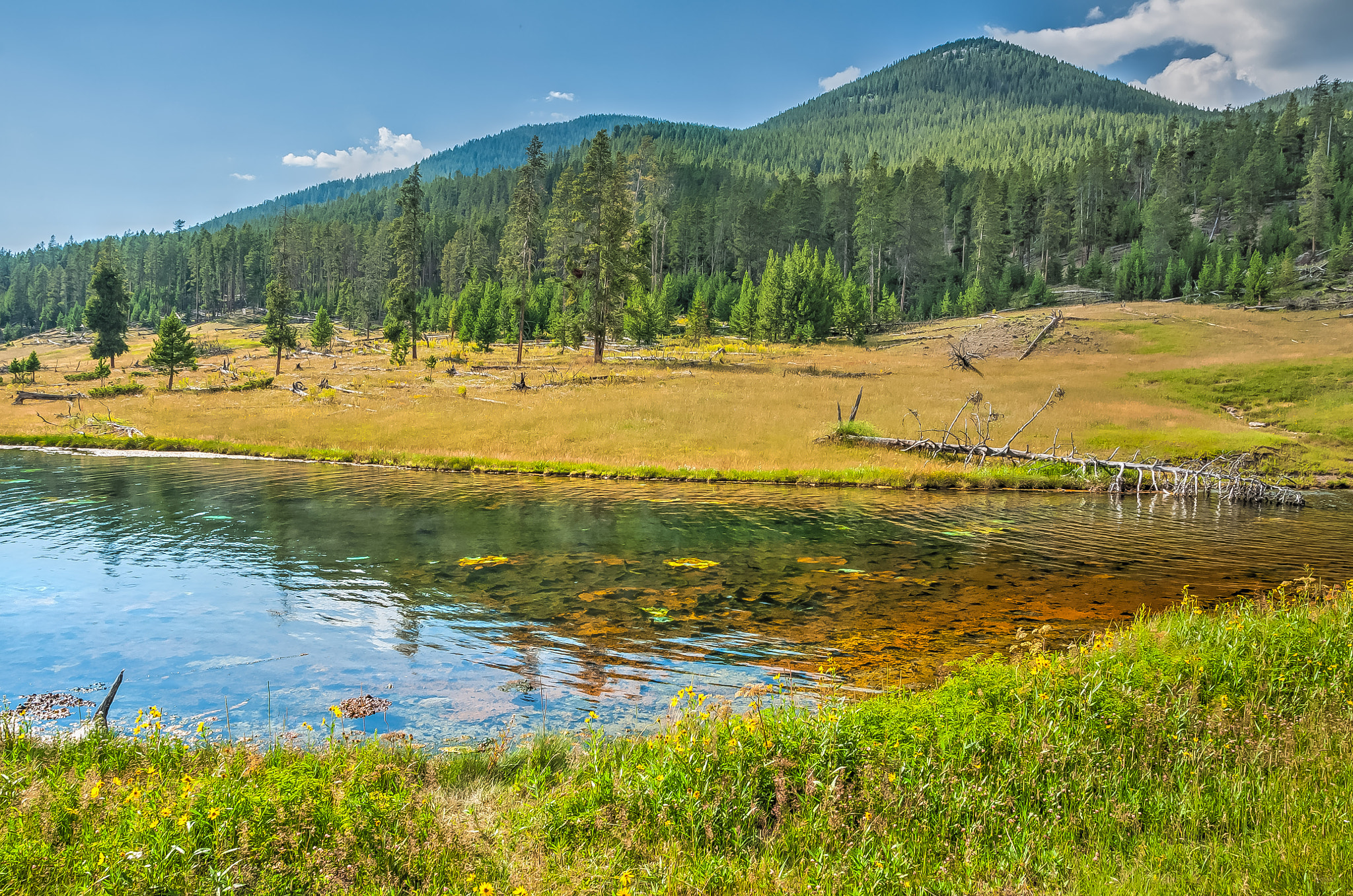 Sigma 17-70mm F2.8-4 DC Macro OS HSM sample photo. Yellowstone summer scene photography