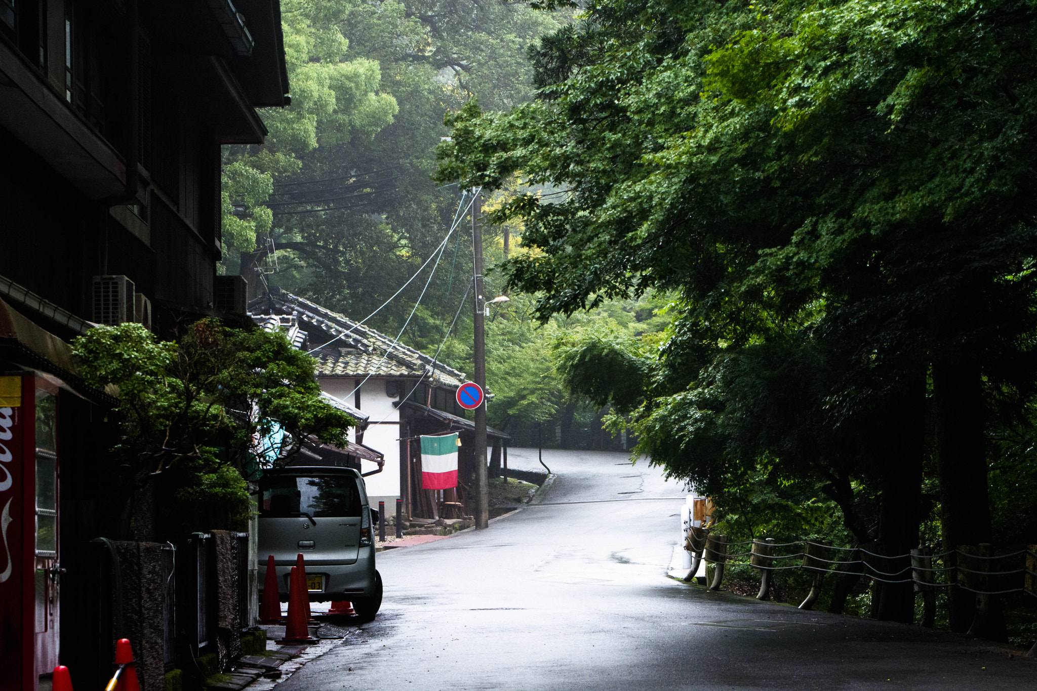 Sigma 105mm F2.8 EX DG Macro sample photo. Nara photography