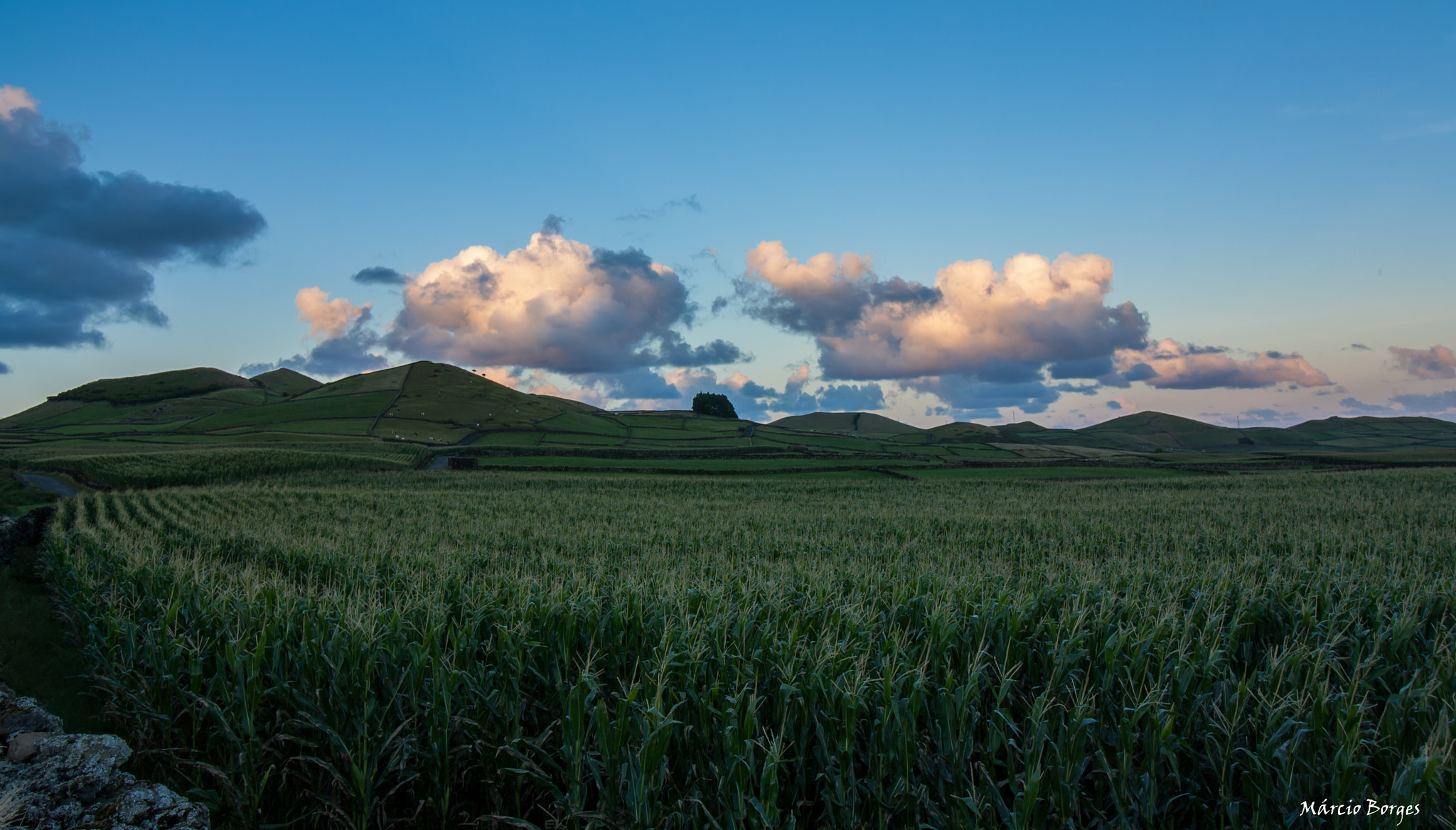 Canon EOS 1000D (EOS Digital Rebel XS / EOS Kiss F) sample photo. Campos de milho photography
