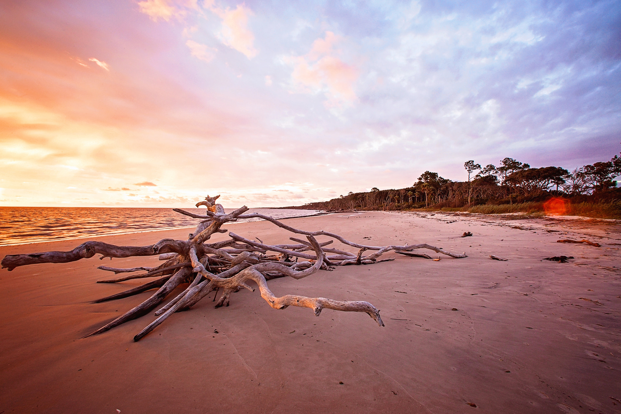 Canon EOS 5D Mark II + Canon EF 14mm F2.8L USM sample photo. Driftwood 2 photography