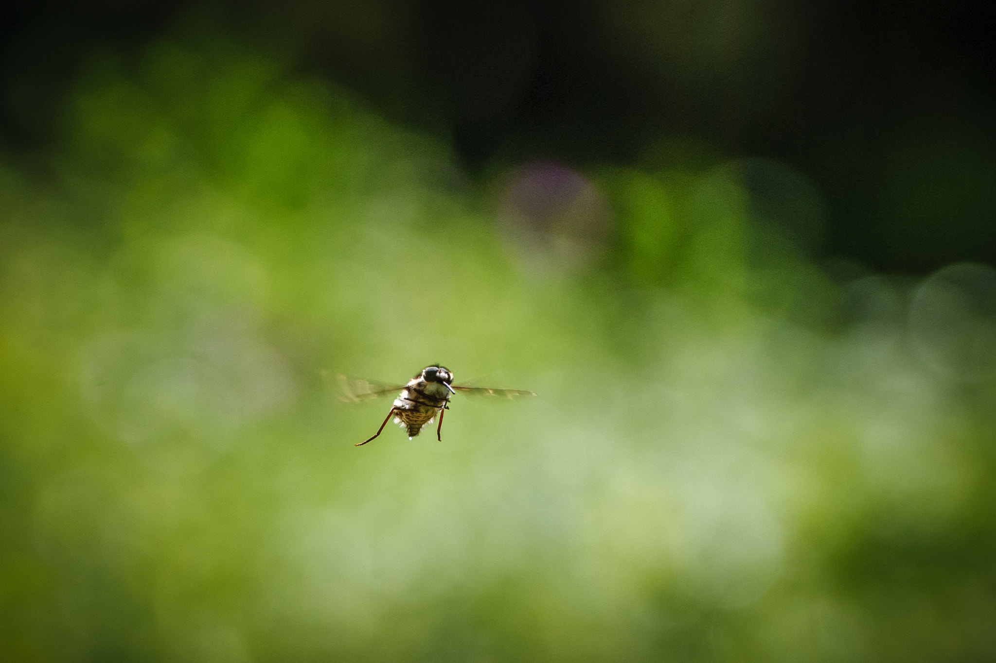 Nikon D40X sample photo. Todos mienten photography
