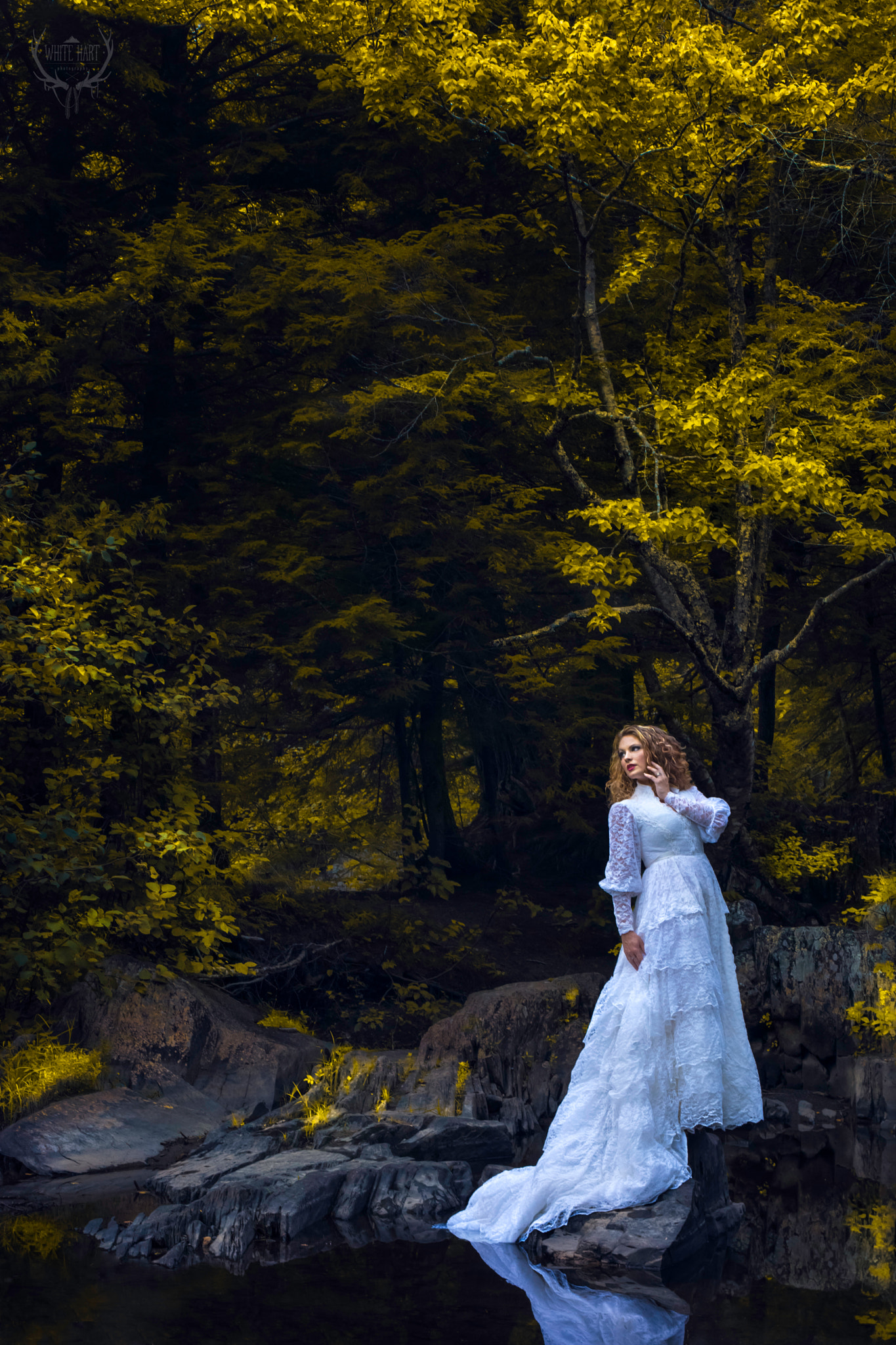 Nikon D7100 + AF Nikkor 50mm f/1.4 sample photo. Brides of the north woods photography