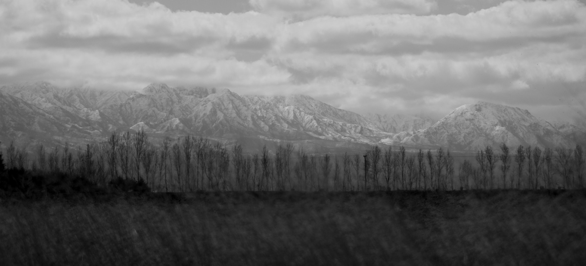 Sony 75-300mm F4.5-5.6 sample photo. Mendoza photography