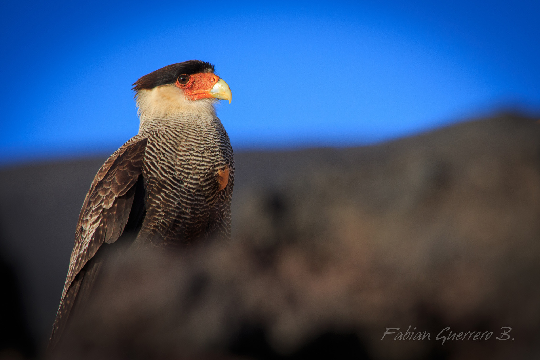 Canon EF 70-300mm F4-5.6 IS USM sample photo. Traro in teski photography