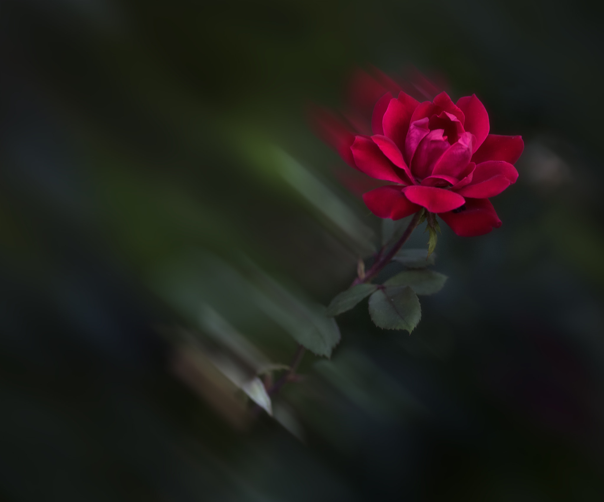 Phase One P65+ sample photo. Rush moment photography