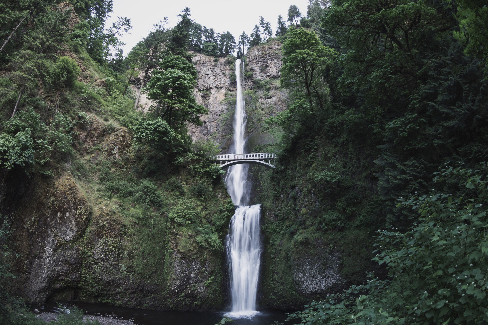 Canon EF 8-15mm F4L Fisheye USM sample photo. Oregon photography