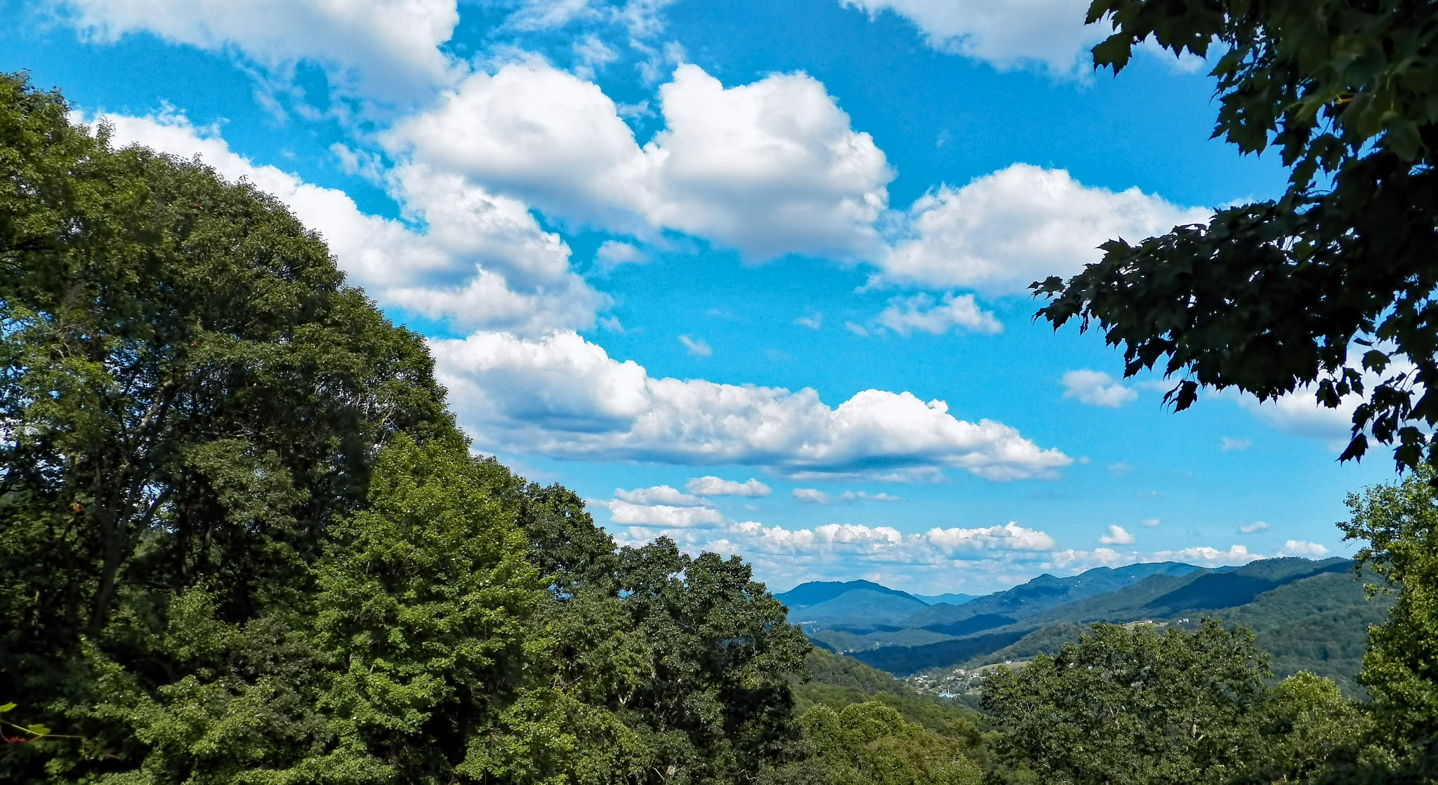 Kodak EasyShare Z990 (EasyShare Max) sample photo. Waynesville, nc photography