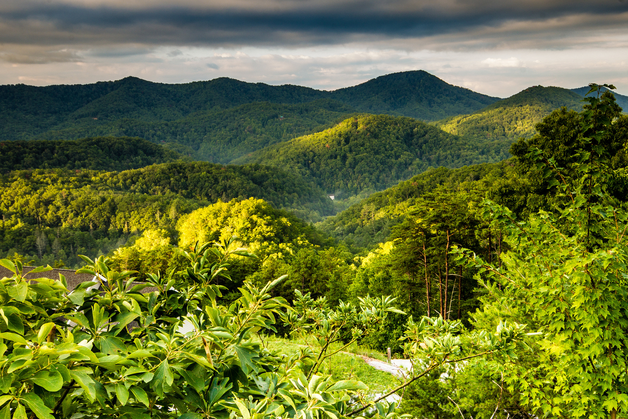 Sigma 10-20mm F4-5.6 EX DC HSM sample photo. Green valleys of smoky mounation national park photography