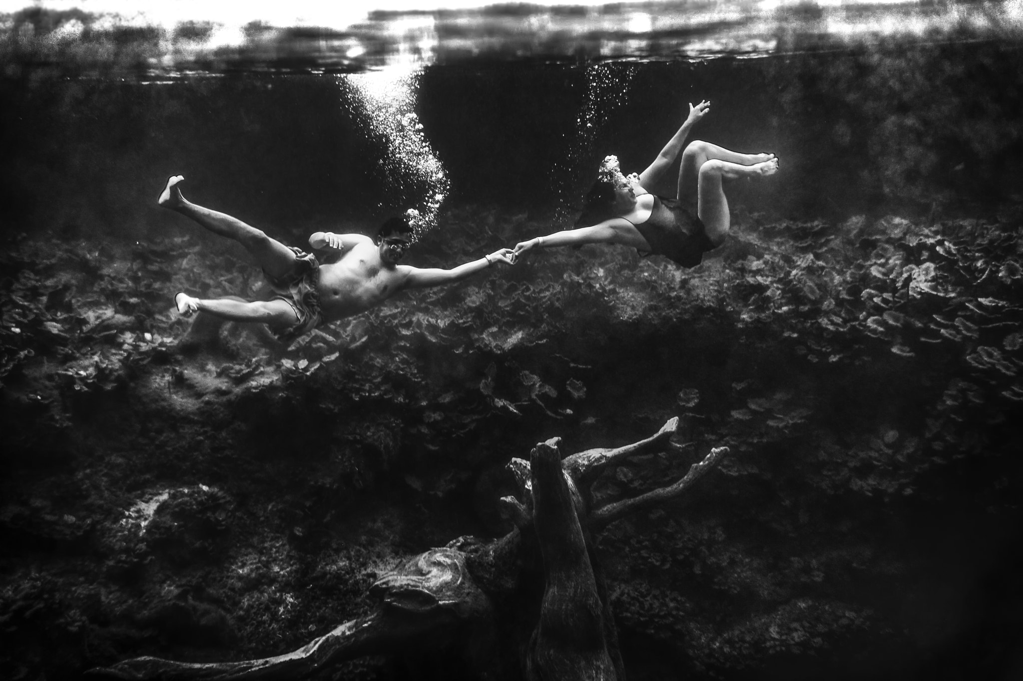 Nikon D3X sample photo. F underwater couple and tree photography