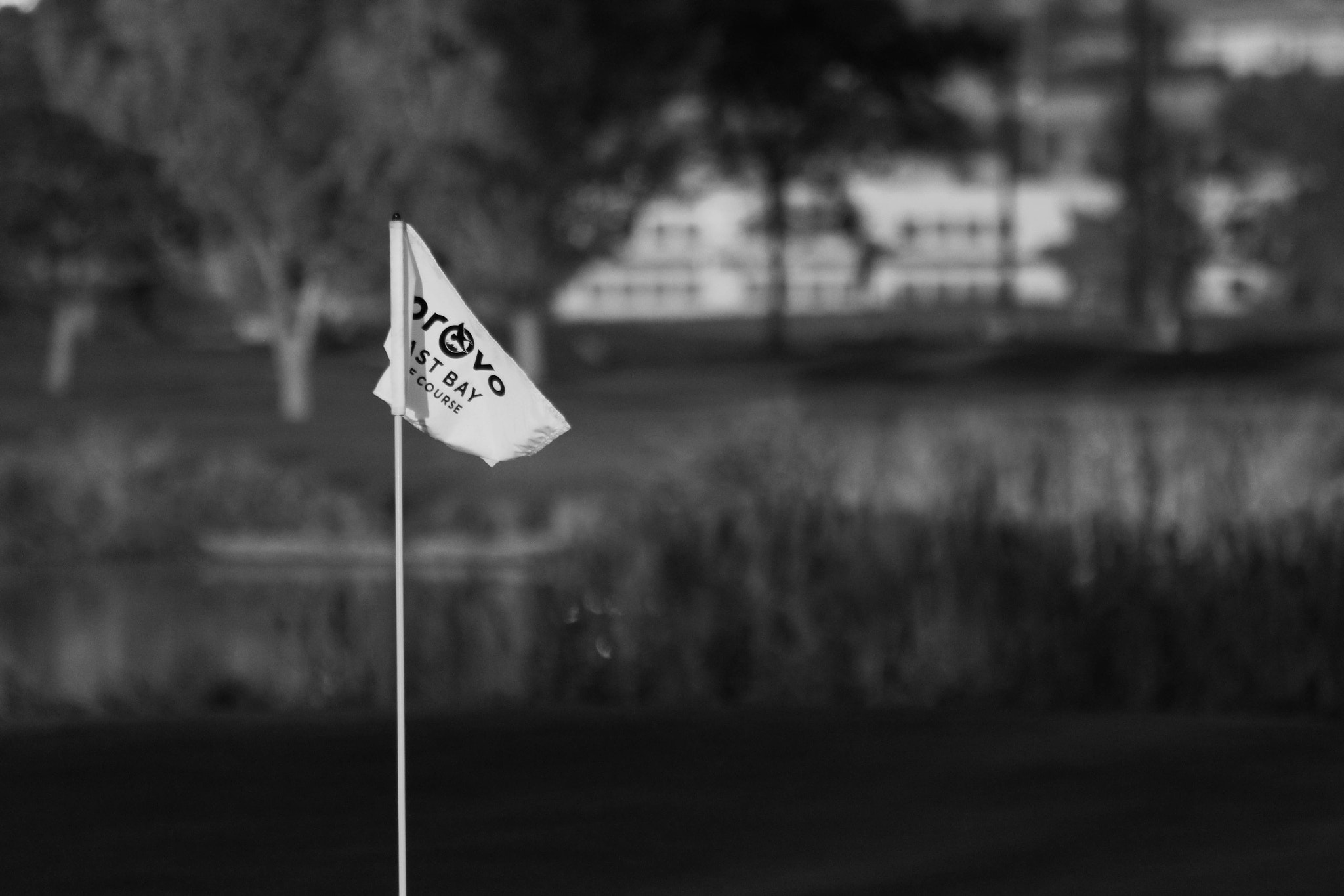 Canon EF 70-300mm F4-5.6 IS USM sample photo. Golf and photography. photography