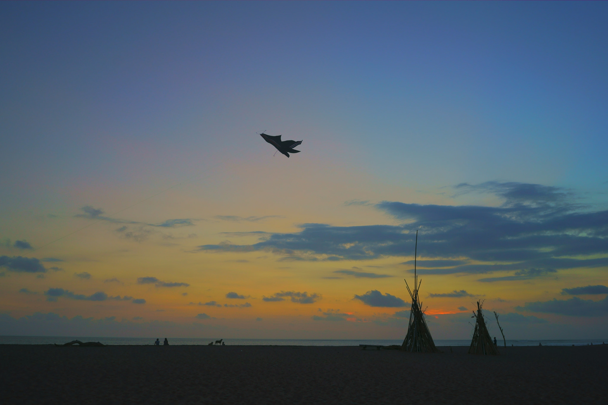 Sony a7 II + Sony FE 28mm F2 sample photo. Prepare for landing photography