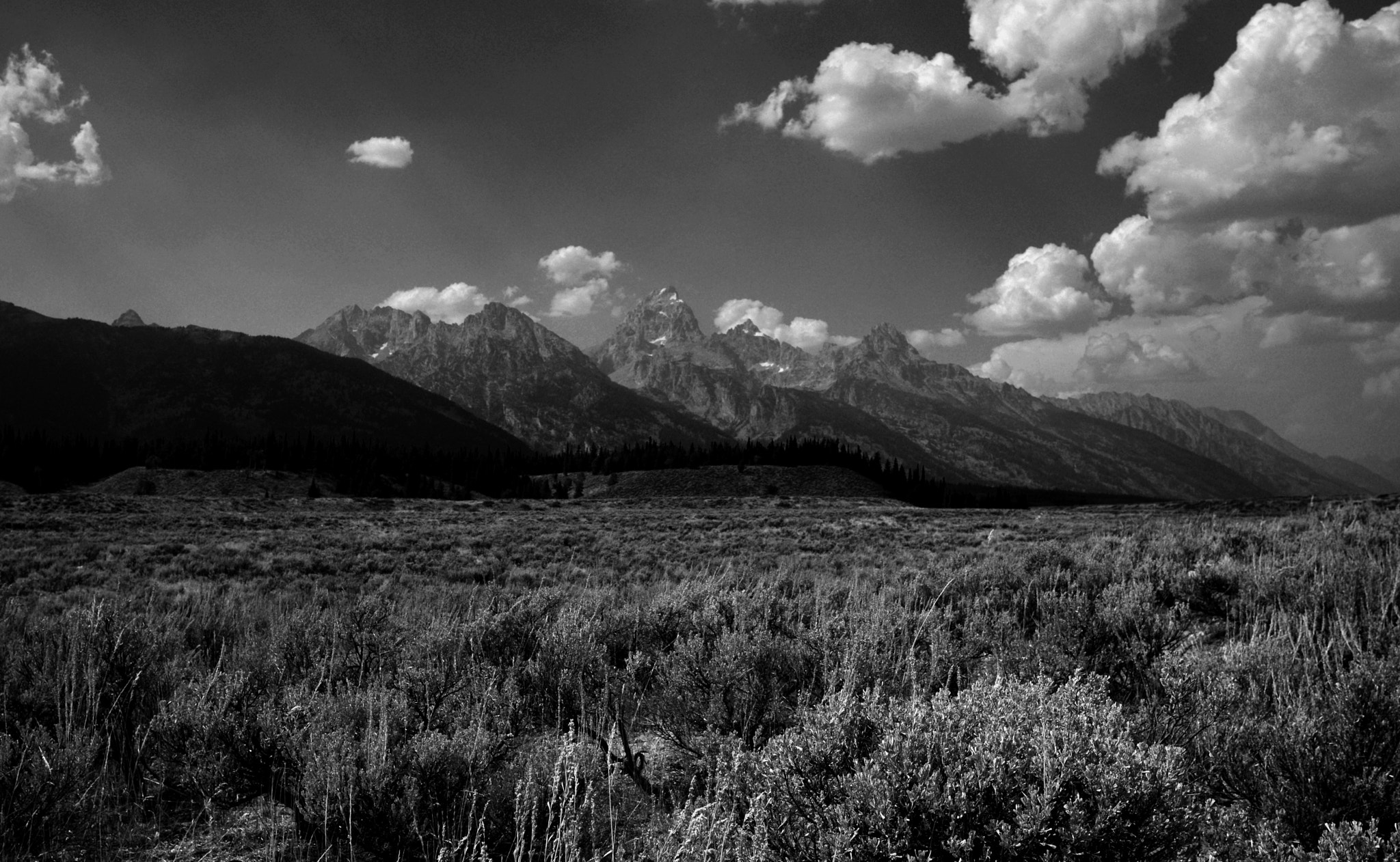 Tamron AF 19-35mm f/3.5-4.5 (A10) sample photo. Grand teton, yellowstone photography