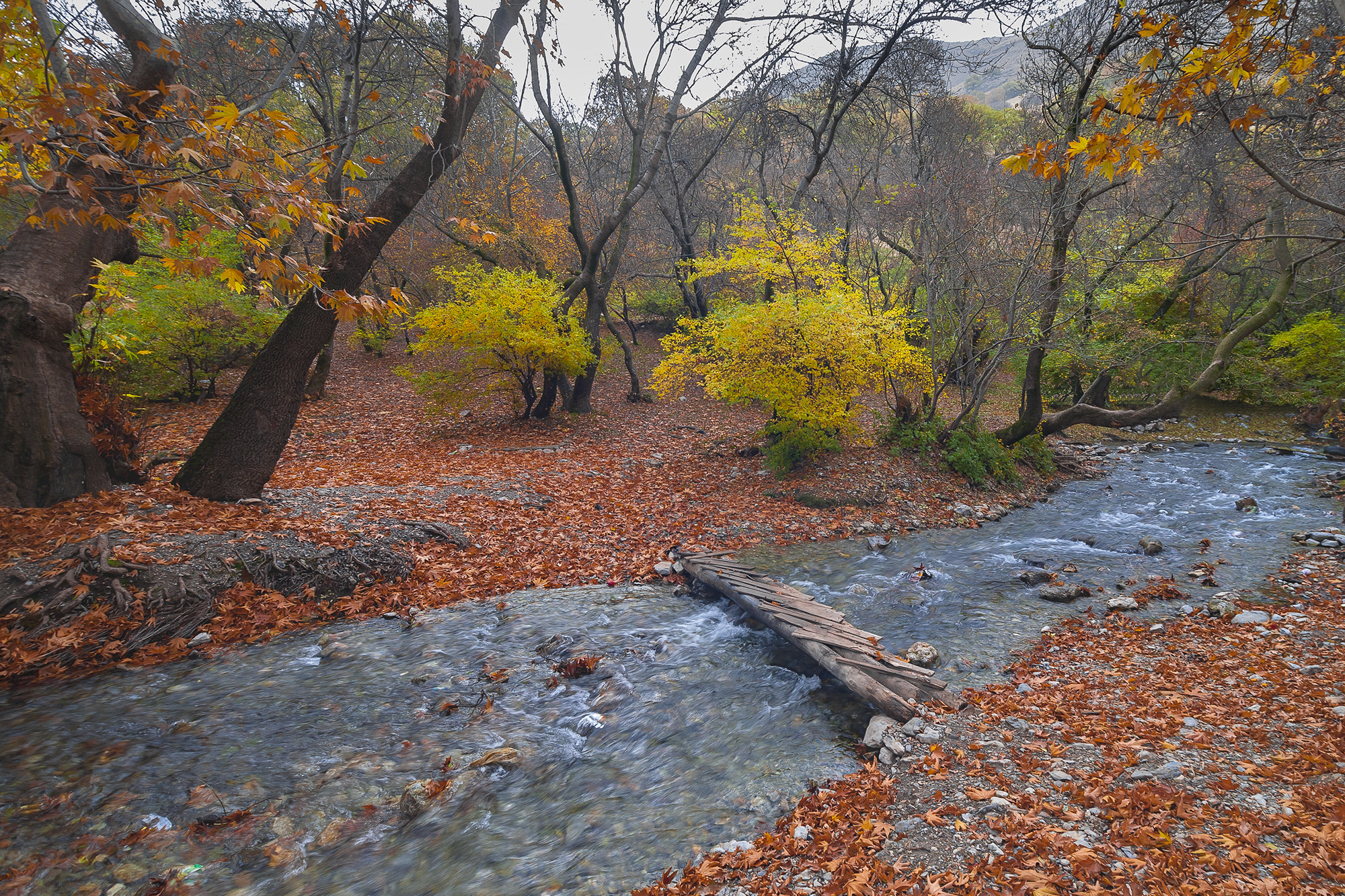 Sigma 17-35mm f/2.8-4 EX DG Aspherical HSM sample photo. The heat of autumn photography