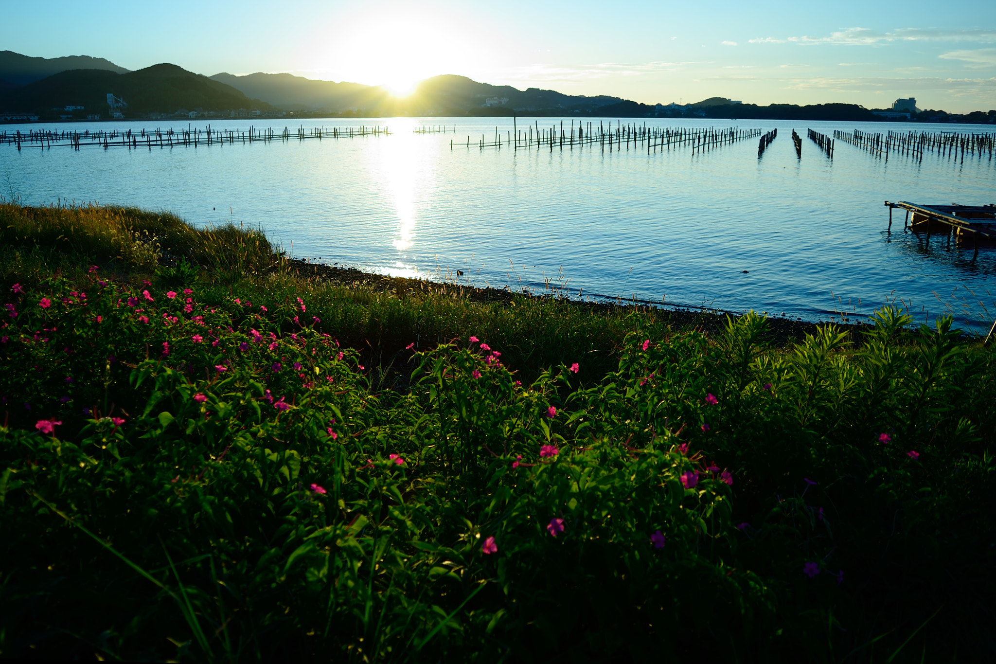 Nikon D600 sample photo