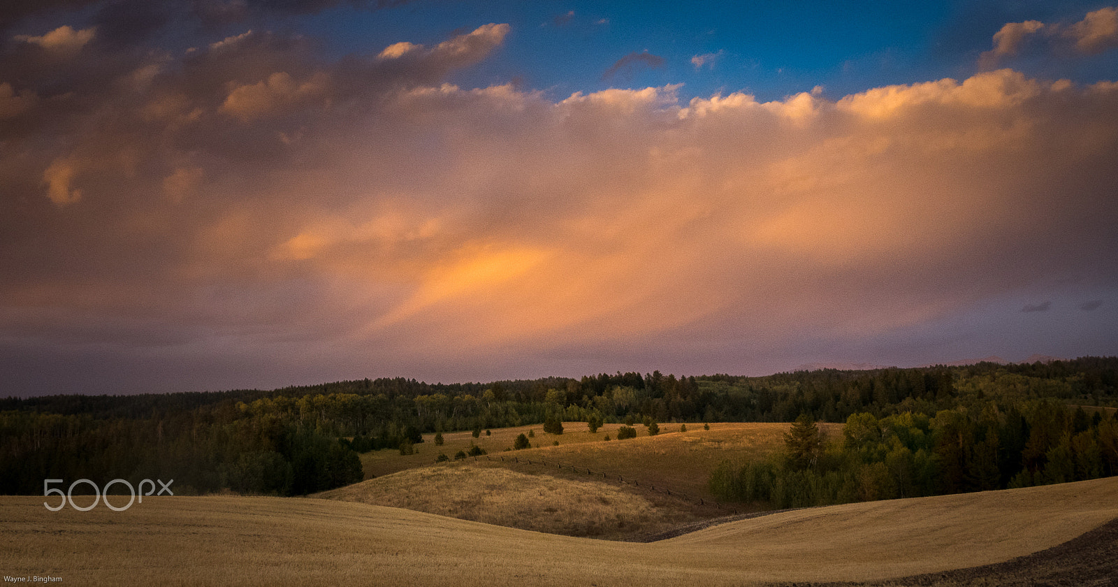 Olympus OM-D E-M1 sample photo. Evening photography