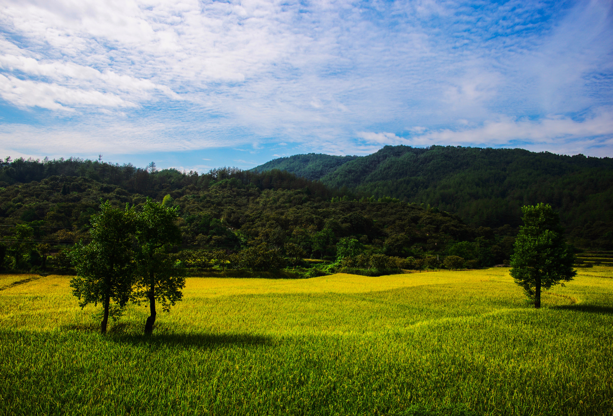Leica Summilux-M 21mm F1.4 Asph sample photo. 色いろ photography