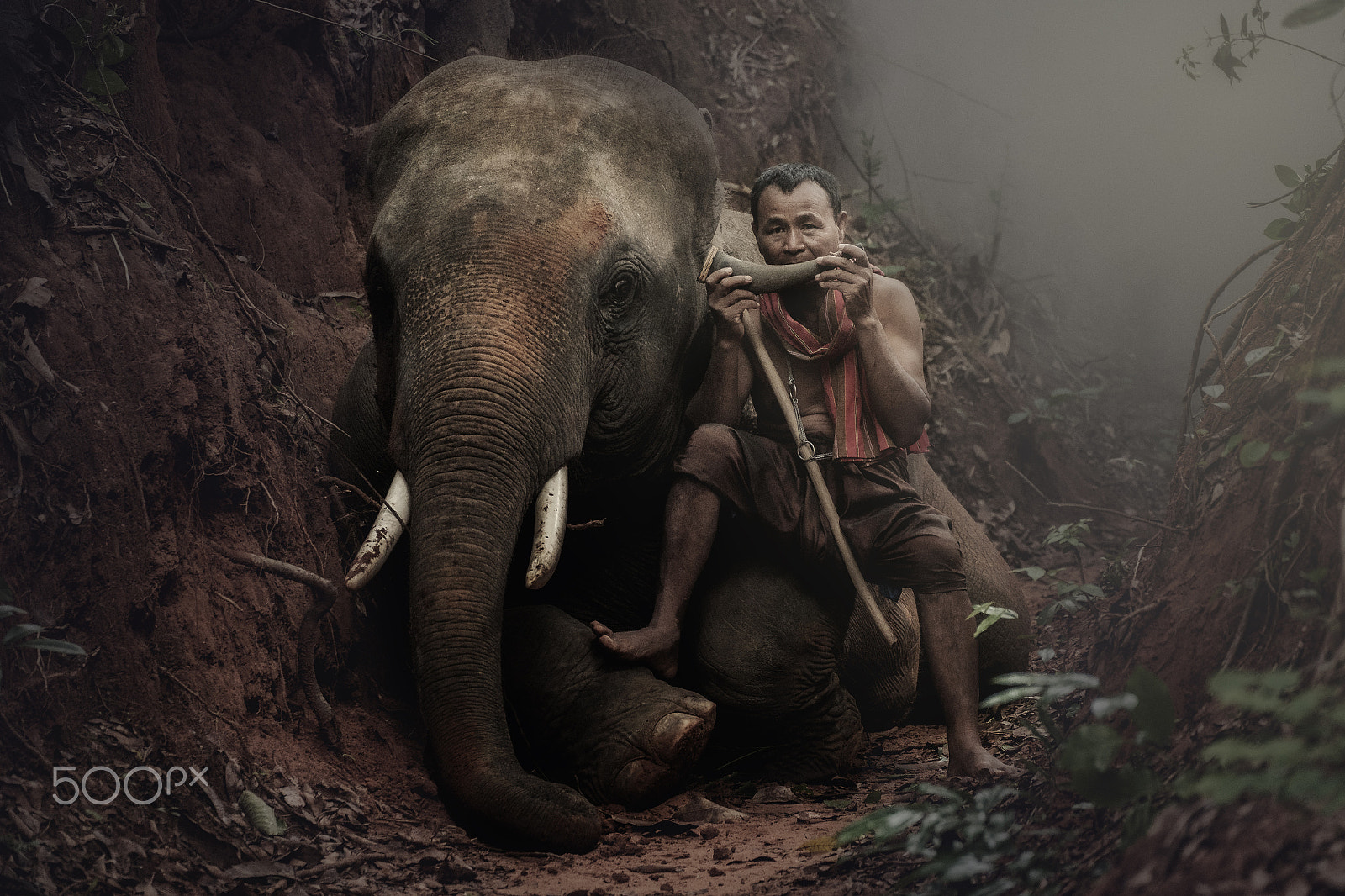 Fujifilm X-E2 + Fujifilm XC 50-230mm F4.5-6.7 OIS II sample photo. Thai mahout play the music for his elephant photography