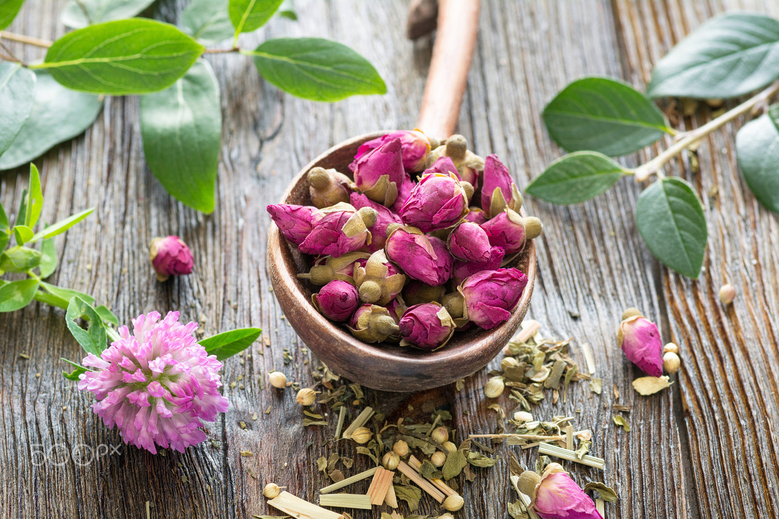 Tokina AT-X Pro 100mm F2.8 Macro sample photo. Dry rose tea buds photography