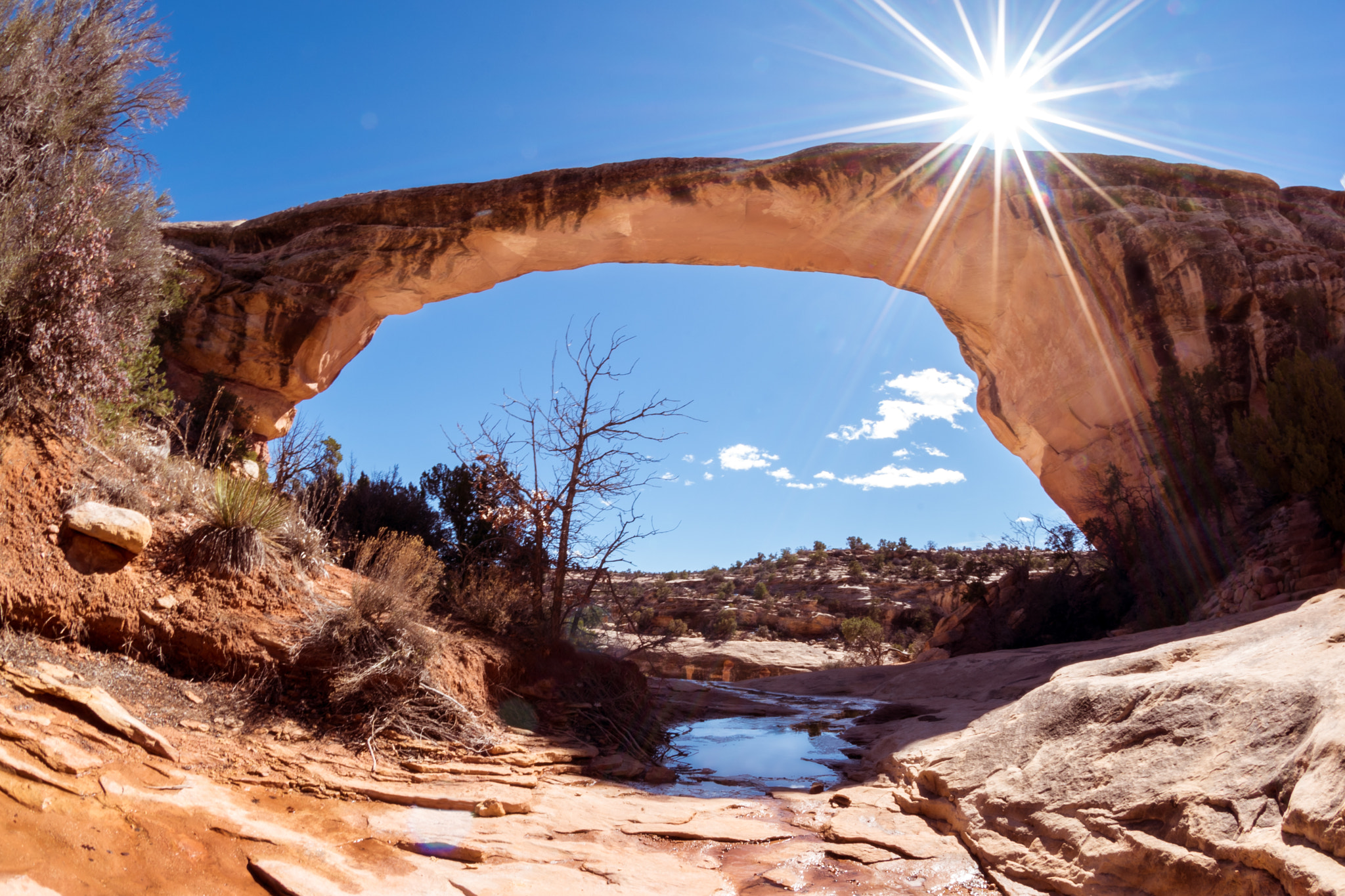 Nikon AF DX Fisheye-Nikkor 10.5mm F2.8G ED sample photo. Sun bursting over owachomo bridge photography