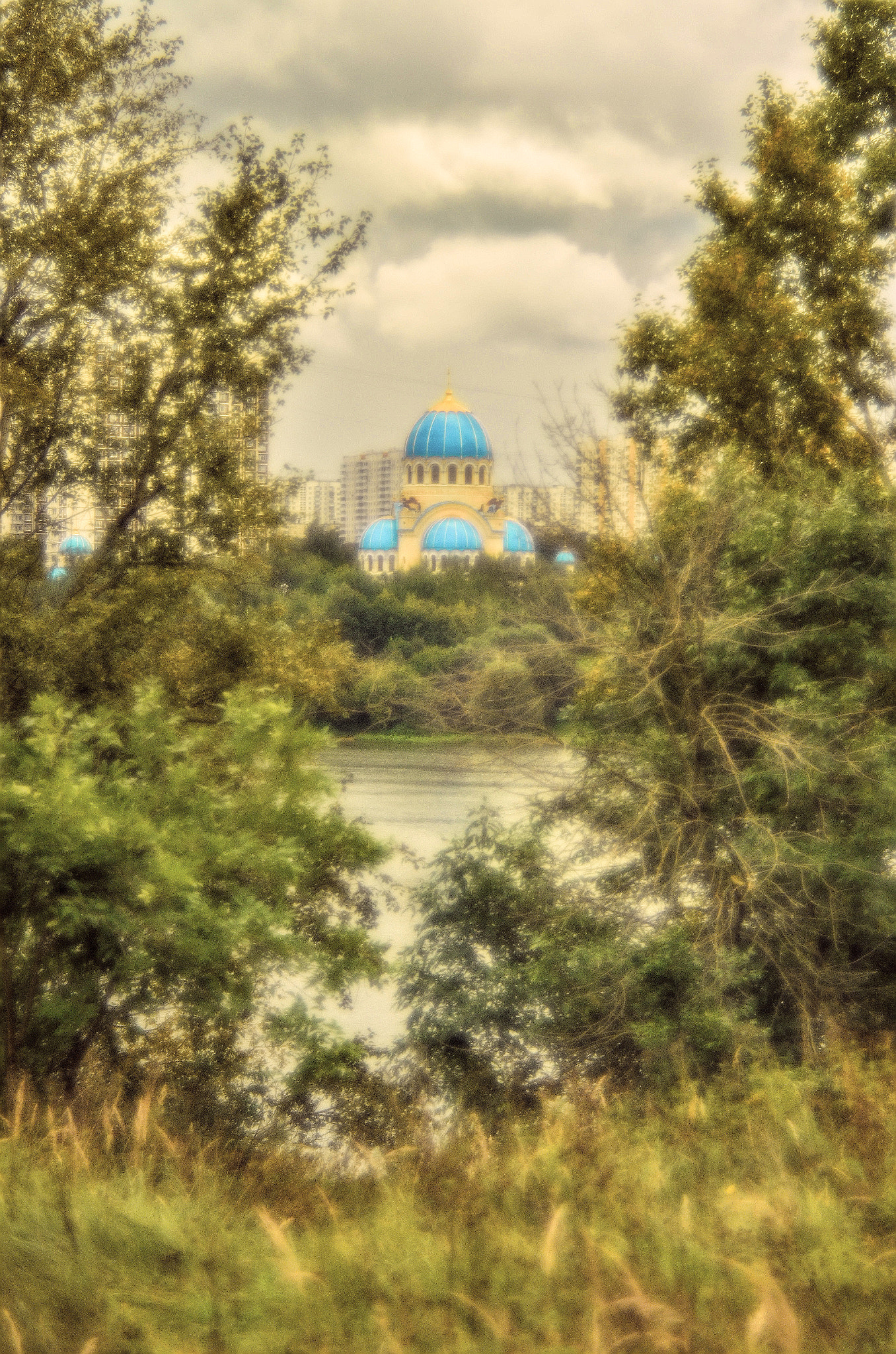 Manual Lens No CPU sample photo. .... Затаился в ветвях... photography