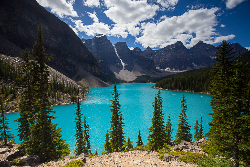 Canon EOS-1D X + Canon EF 16-35mm F4L IS USM sample photo. Moraine lake photography