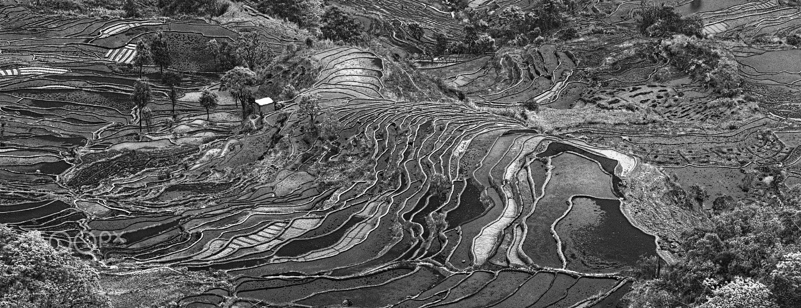 Canon EOS 5DS + Canon EF 70-200mm F4L IS USM sample photo. Grand terraced field photography